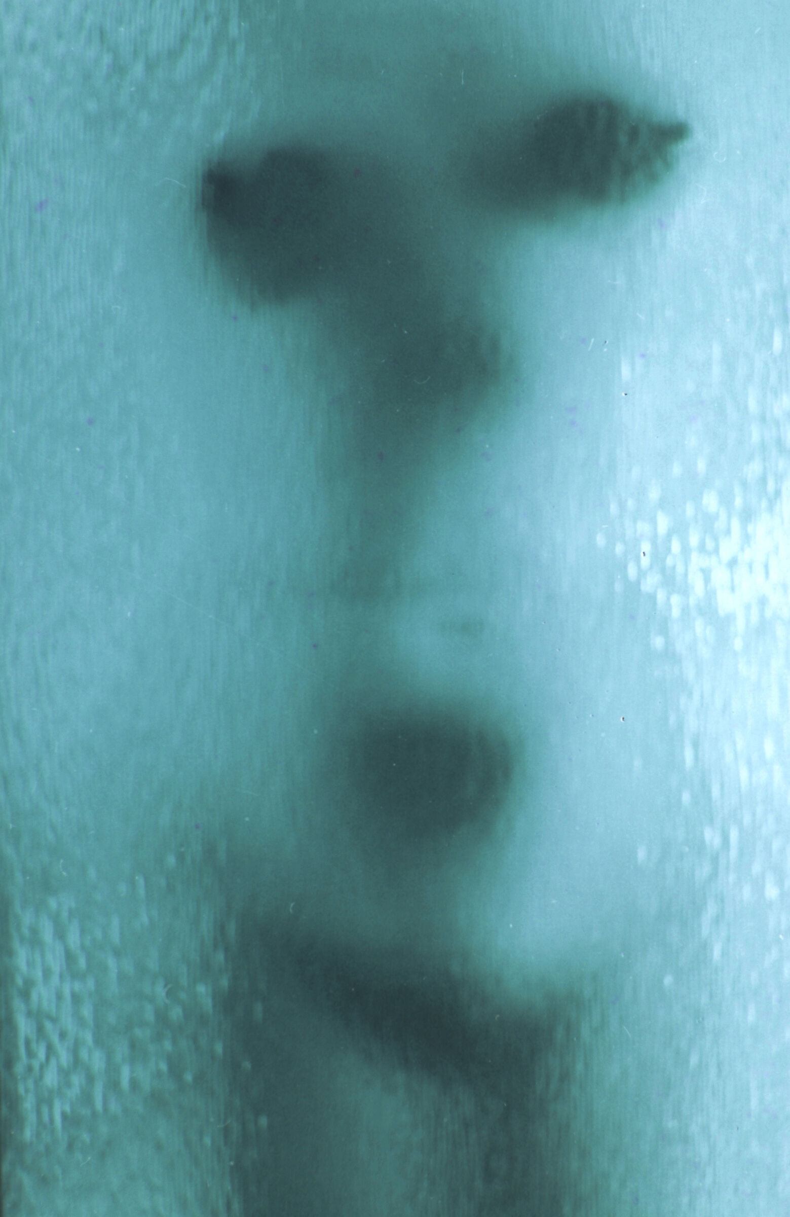 vicinissima al vetro