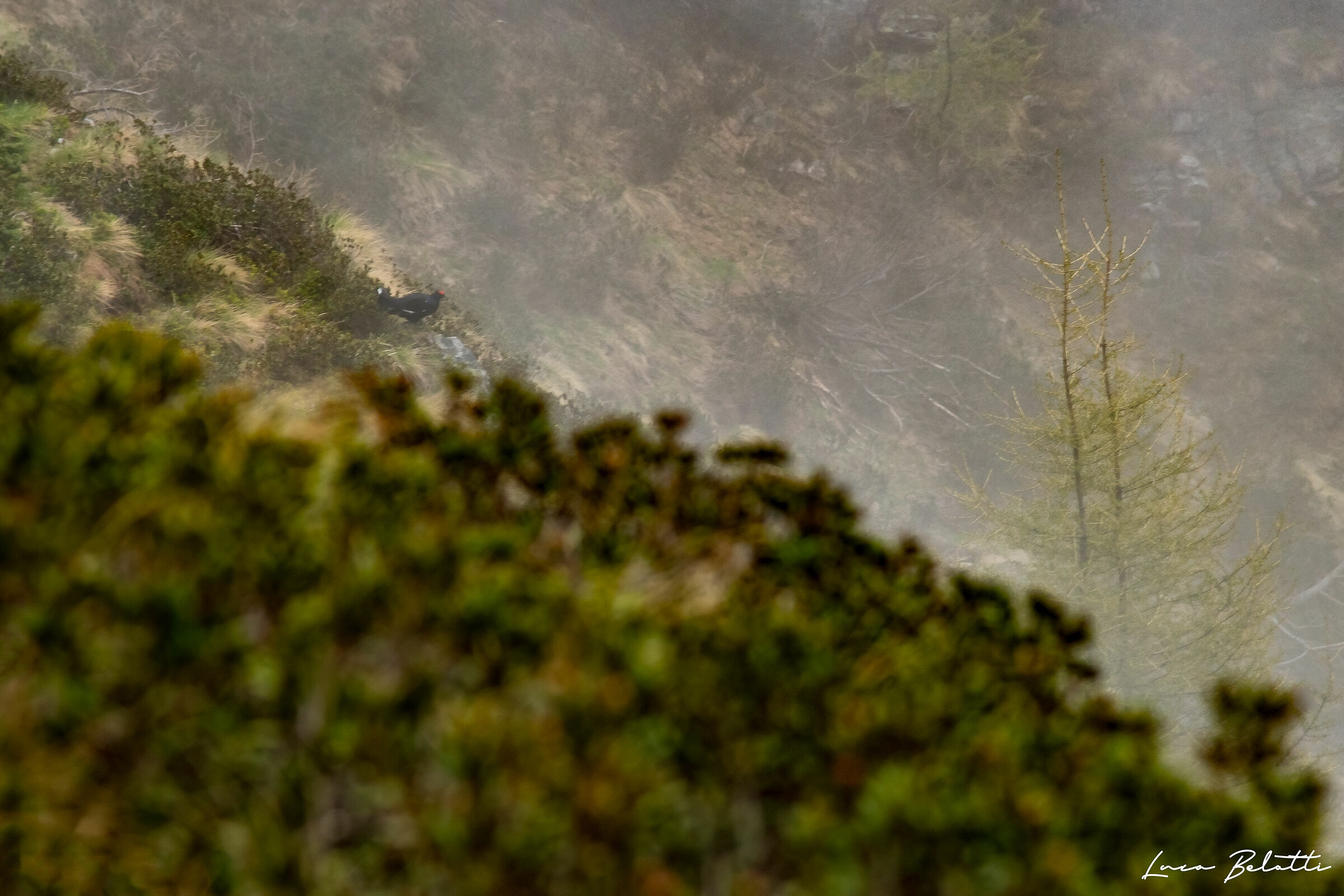The first meeting in the fog