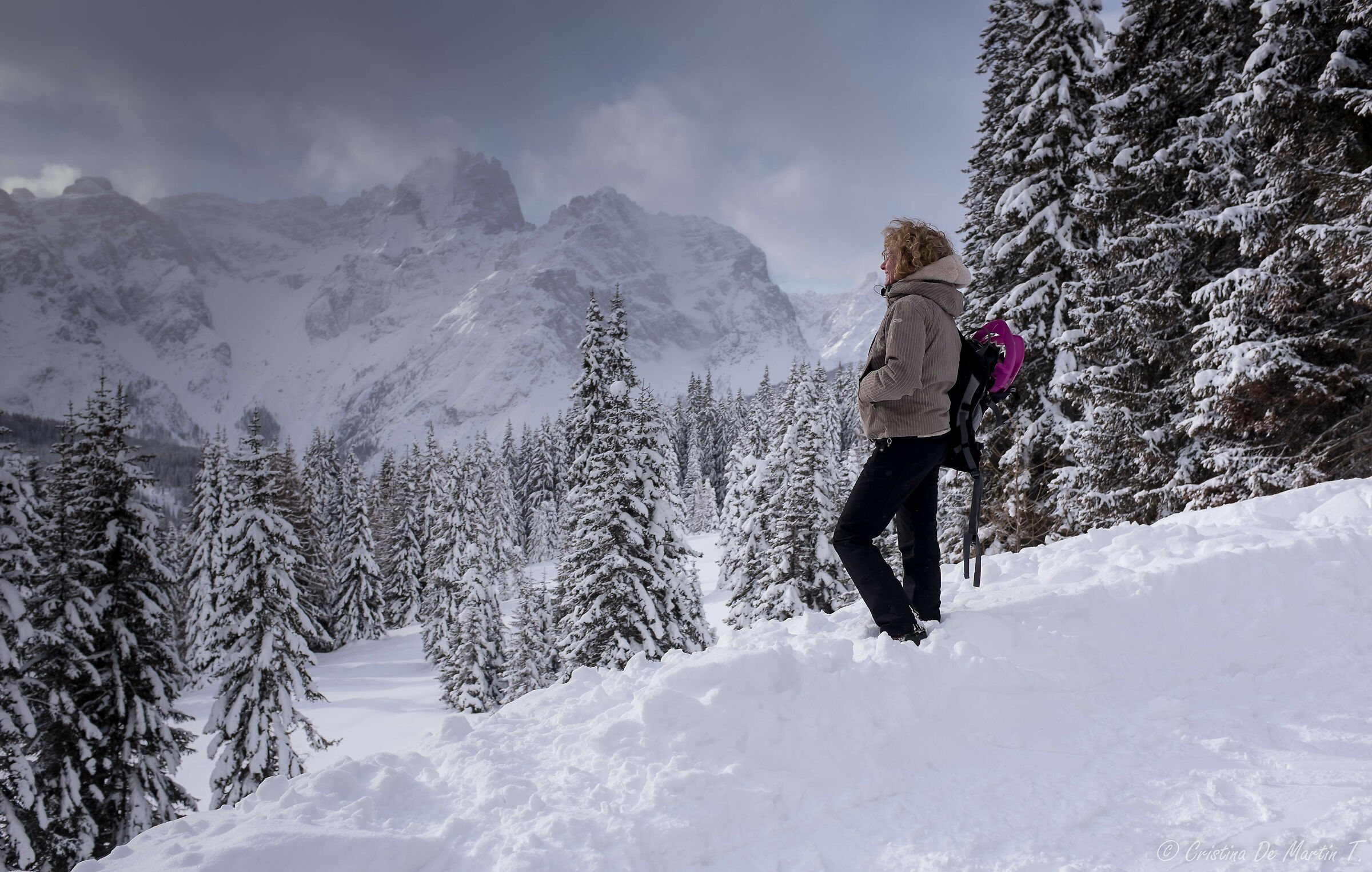 Three Dolomites Shoes of Sixth