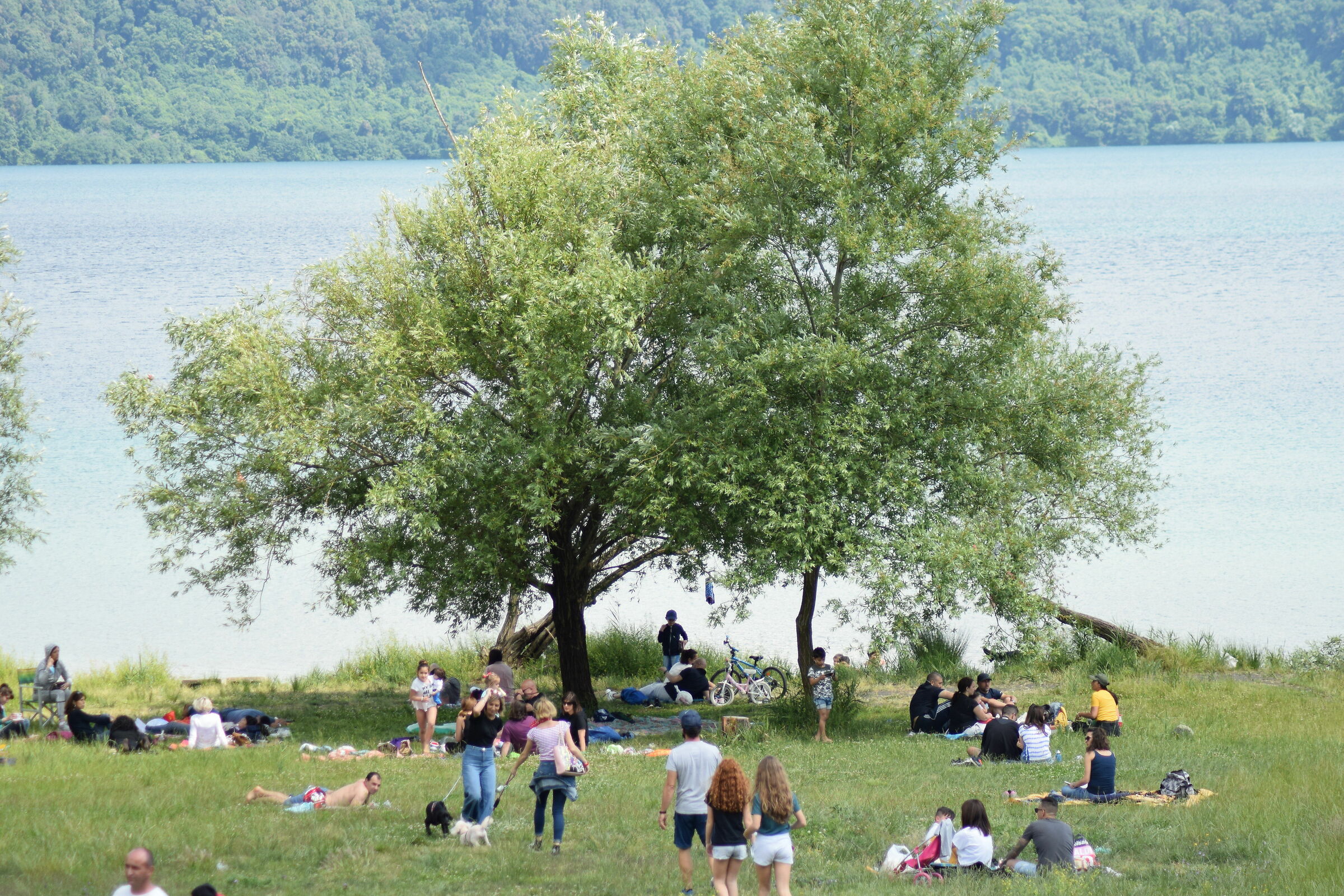 Against the Crown Virus