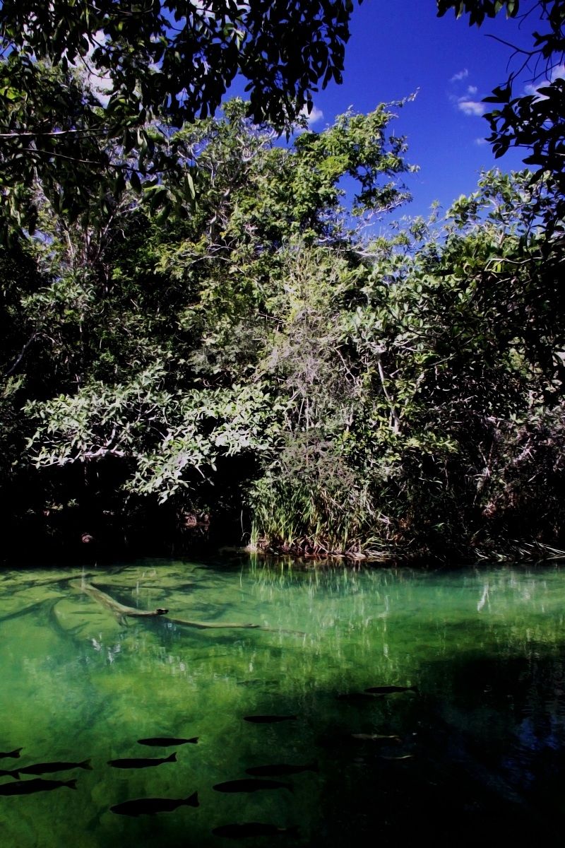 Bonito, Mato Grosso do sul