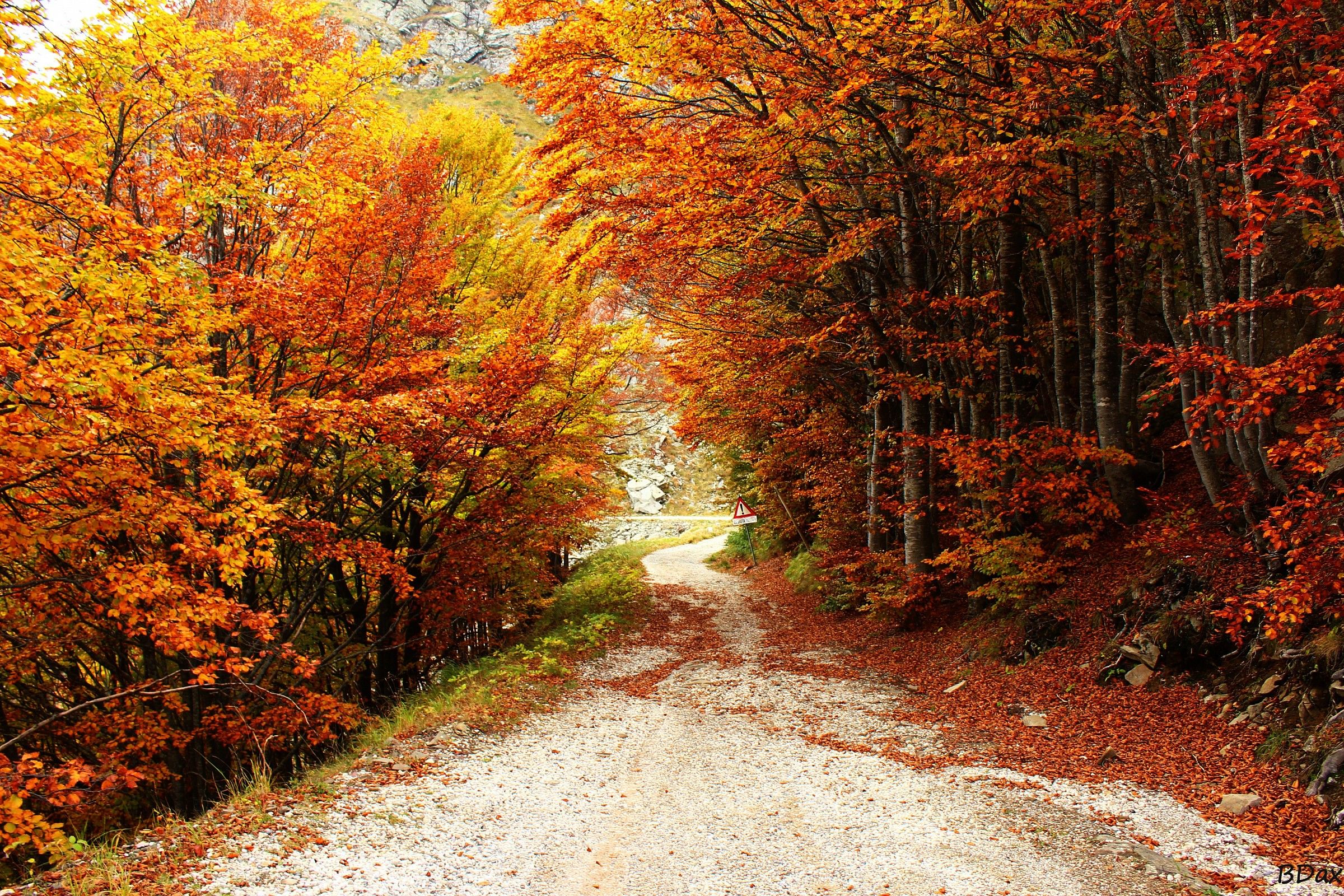Strada della Duchessa