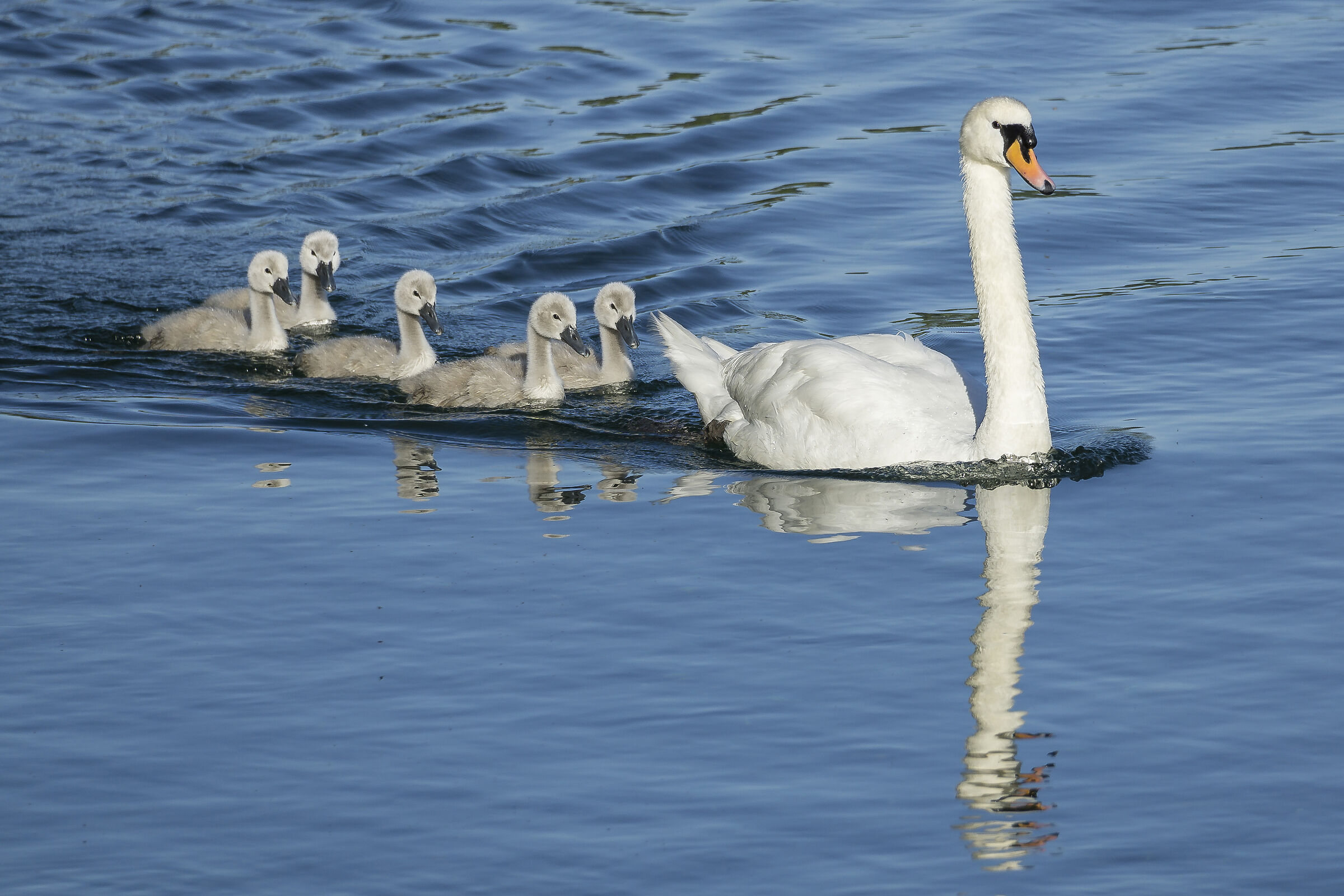 Friday, June 5, 2020, 19:01:30