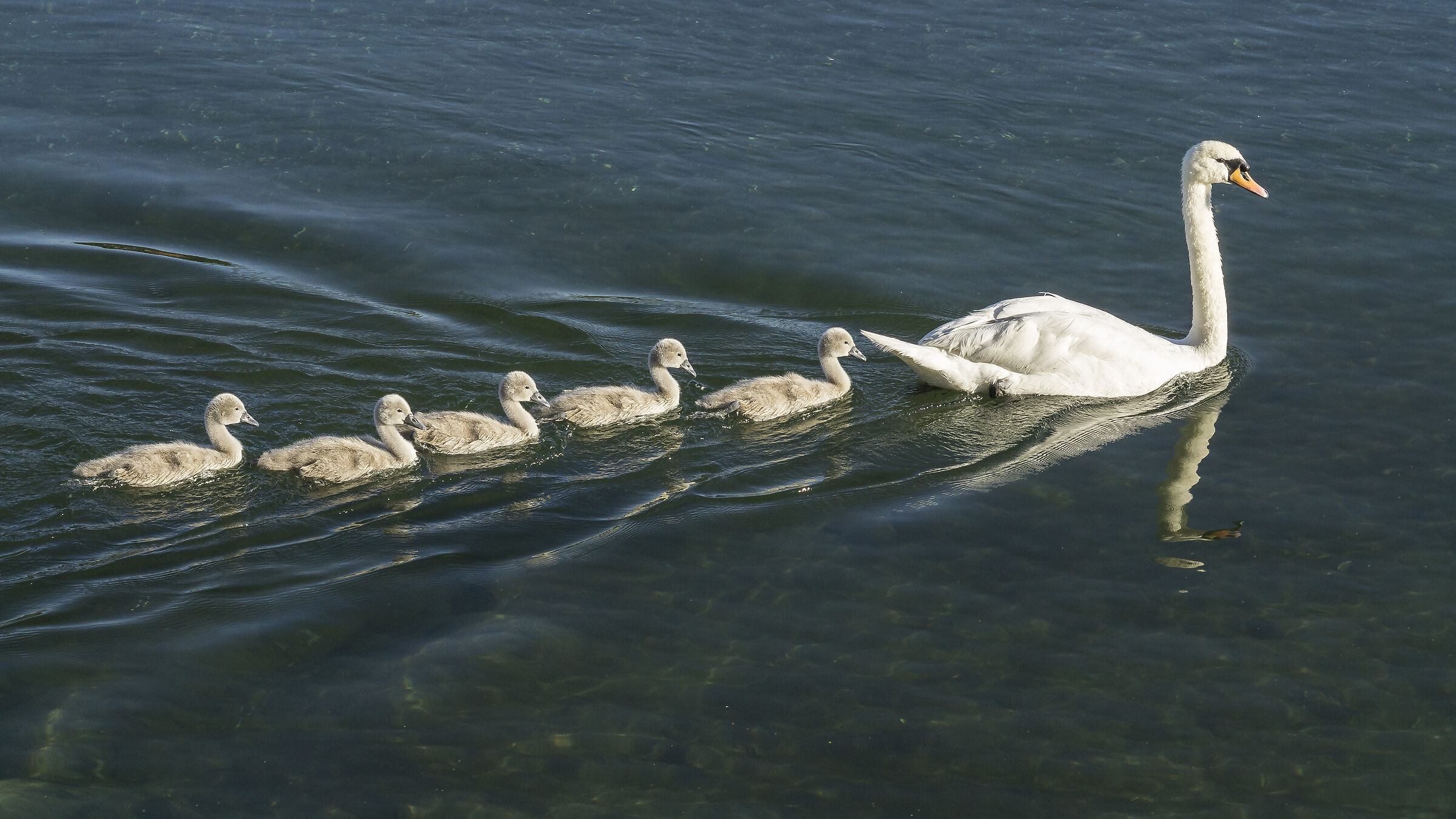 Venerdì 5 giugno 2020, 19:02:36