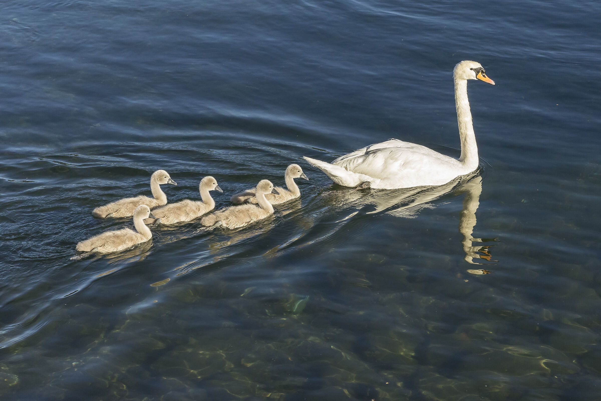 Friday, June 5, 2020, 19:06:06