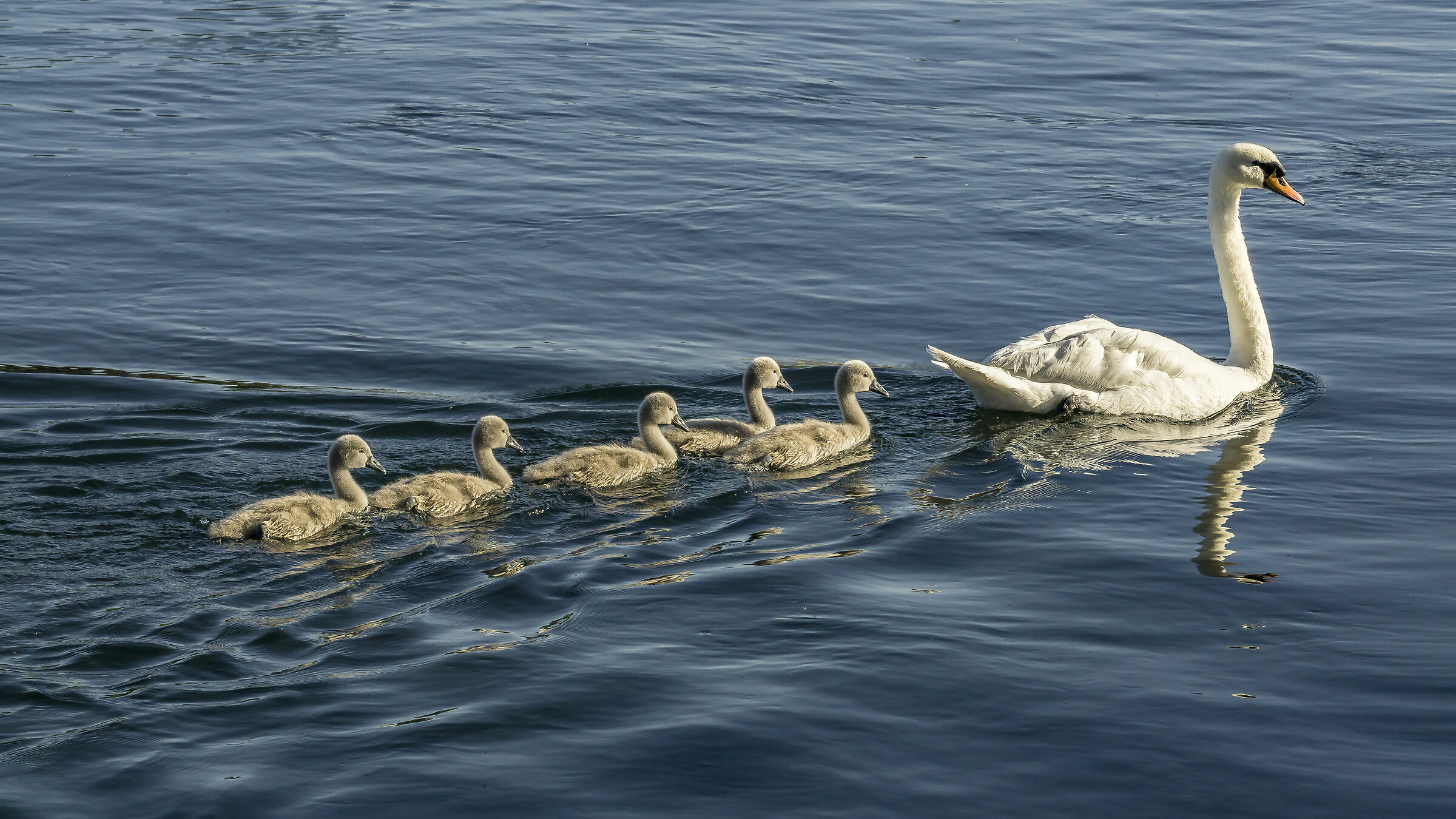 Venerdì 5 giugno 2020, 19:07:08