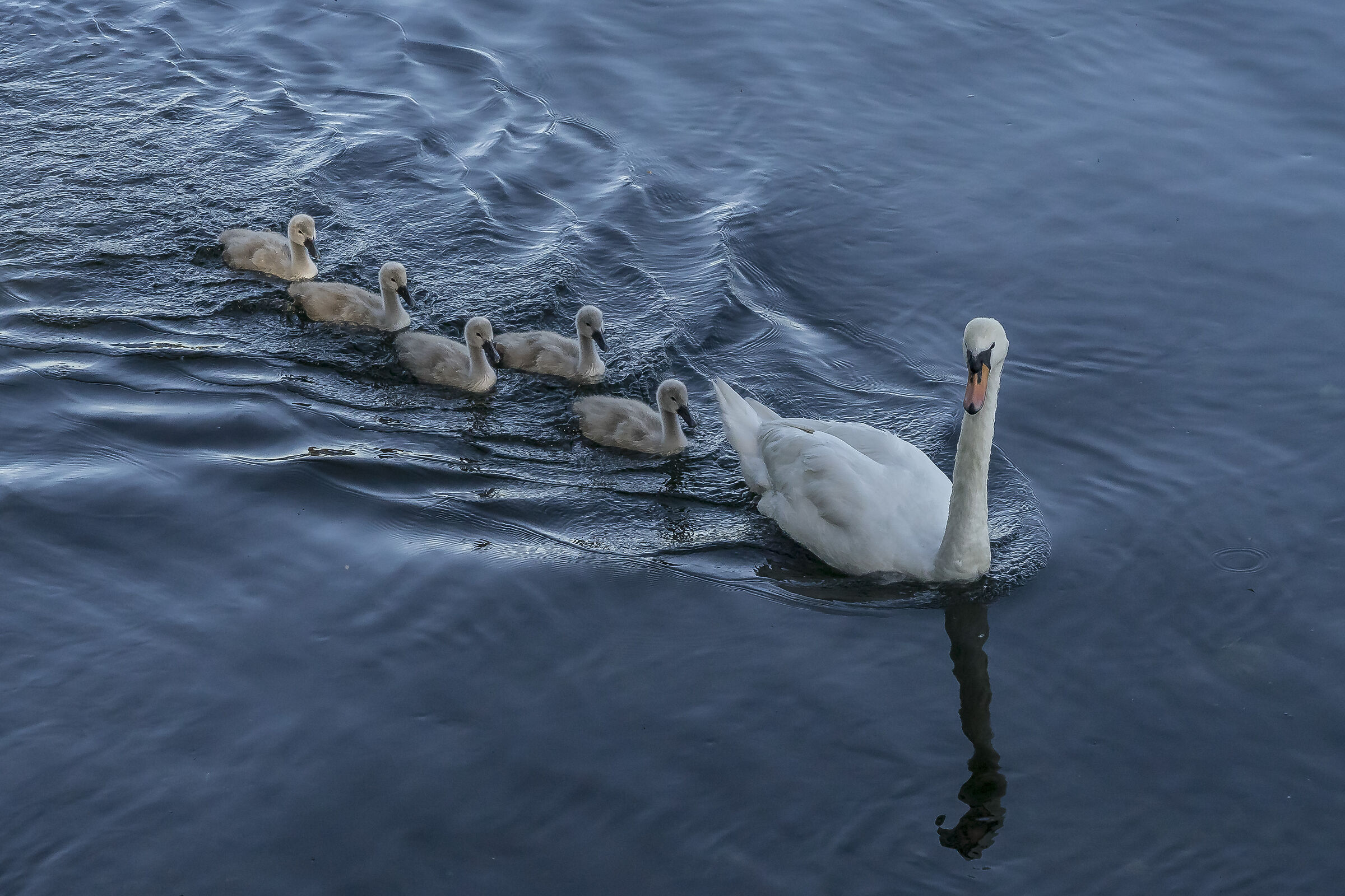 Friday, June 5, 2020, 19:08:08