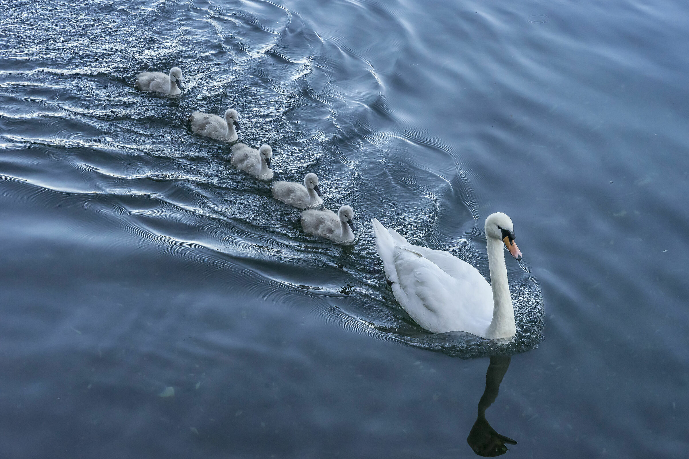 Friday, June 5, 2020, 19:09:28