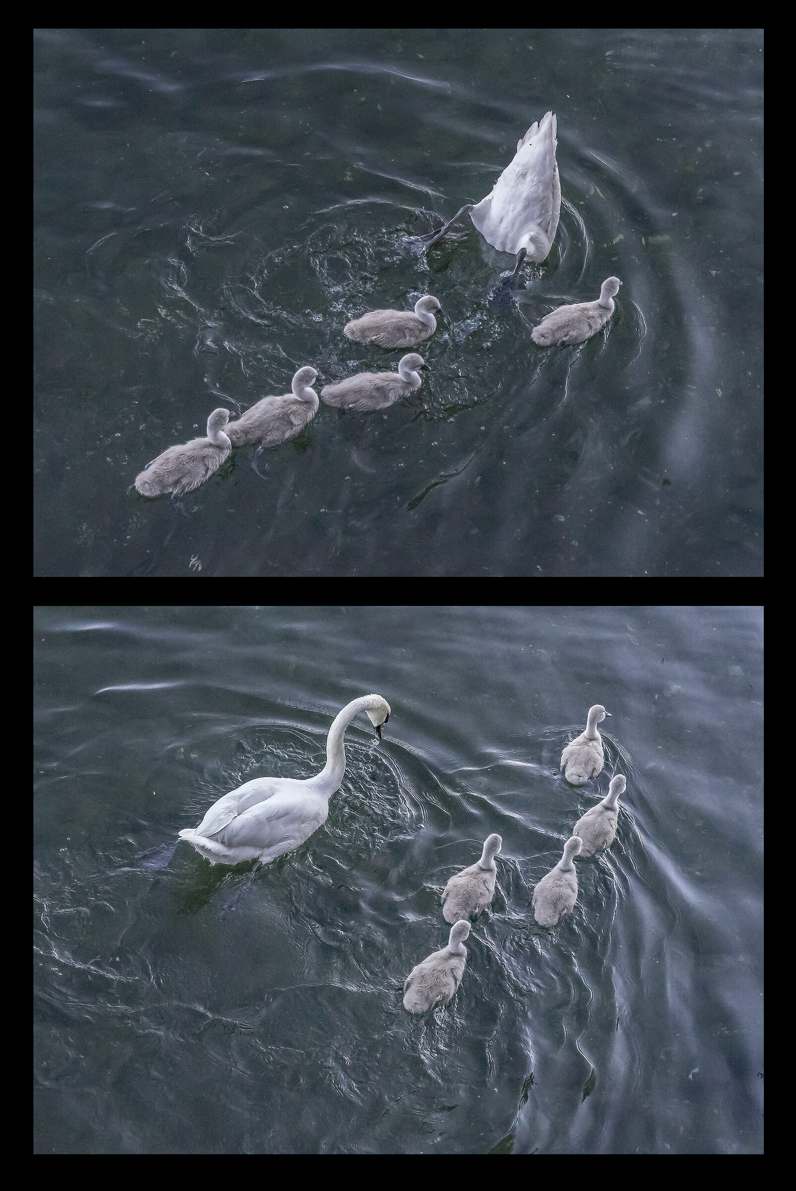 Friday, June 5, 2020, 19:10:24-28