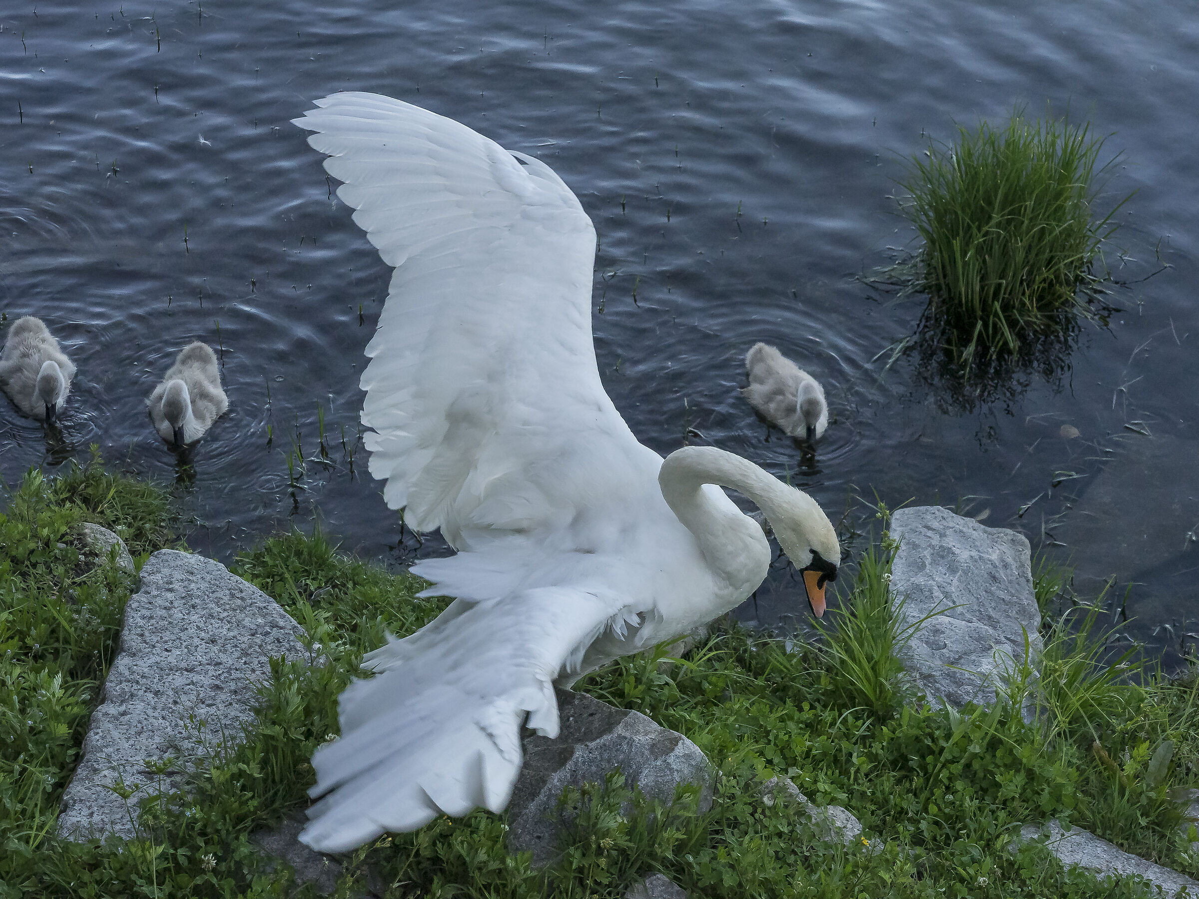 Friday, June 5, 2020, 19:12:12