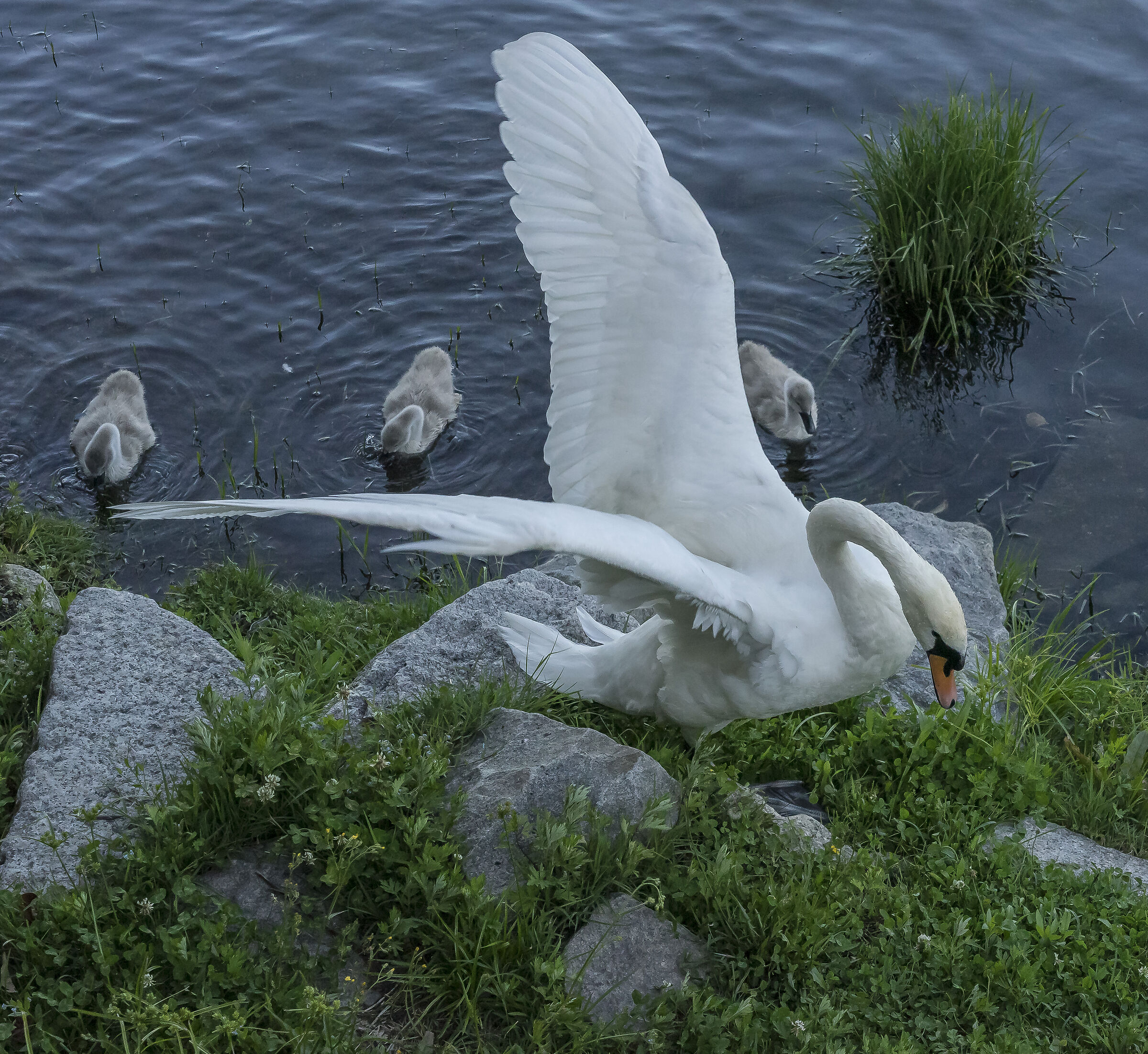 Friday, June 5, 2020, 19:12:13