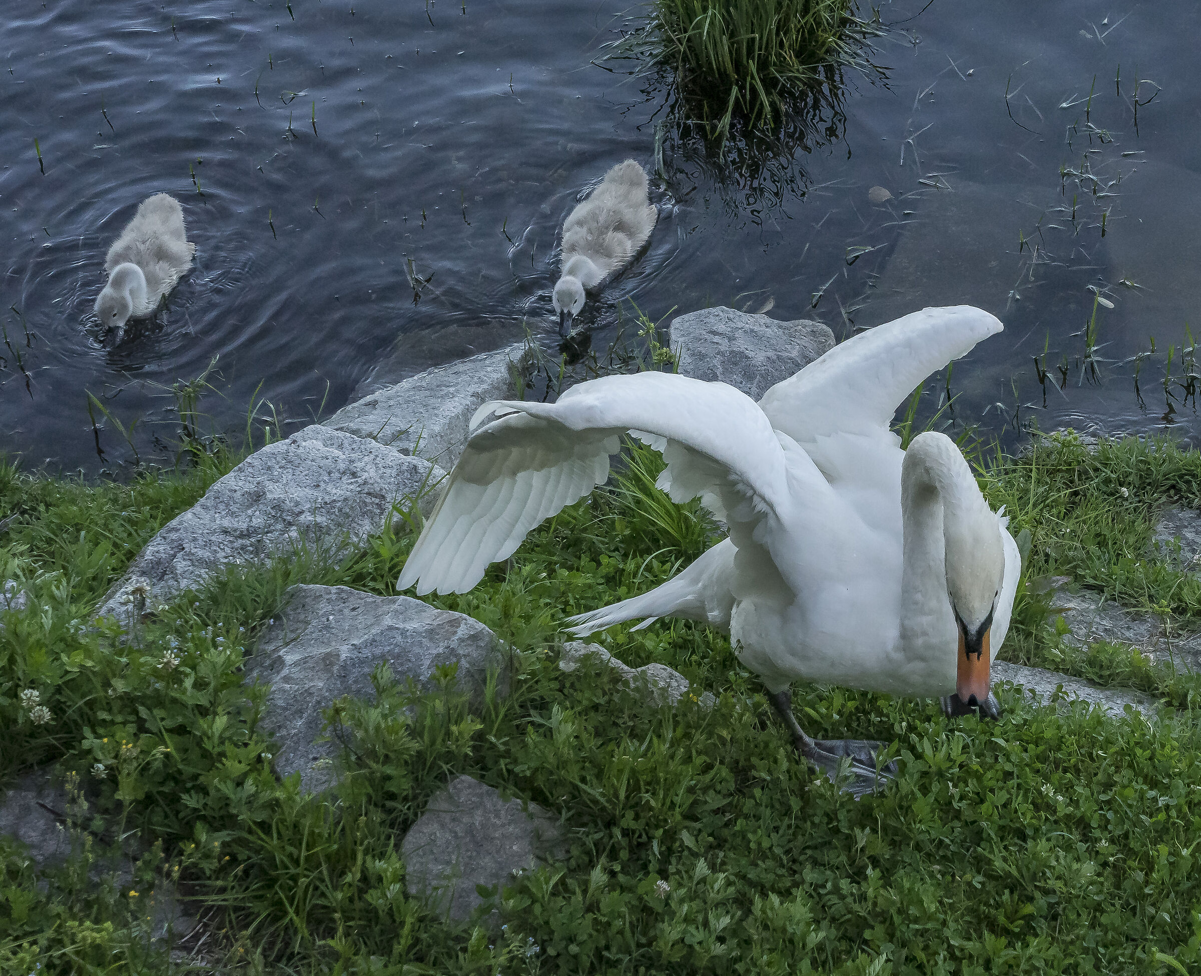 Venerdì 5 giugno 2020, 19:12:14