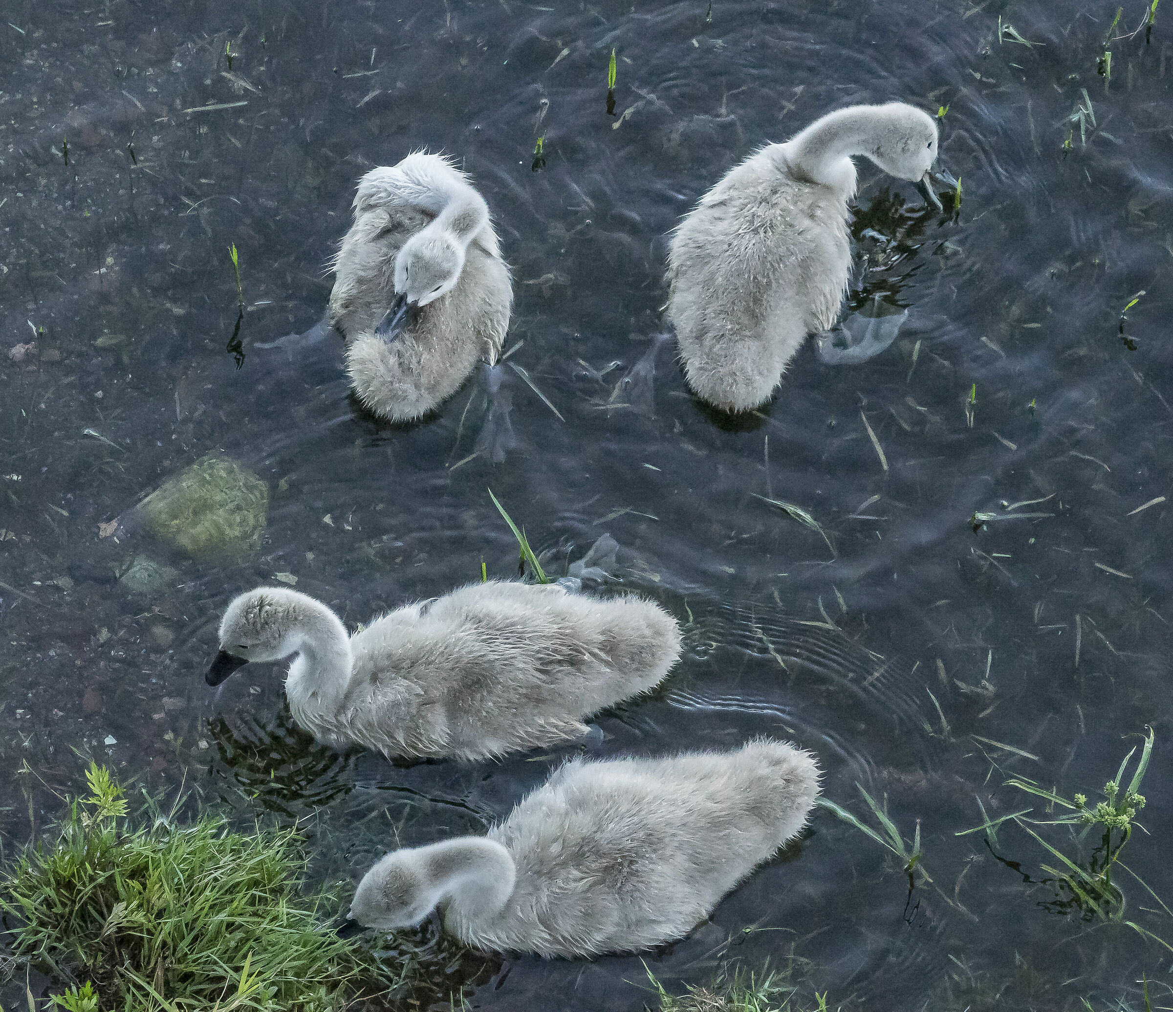 Venerdì 5 giugno 2020, 19:15:22