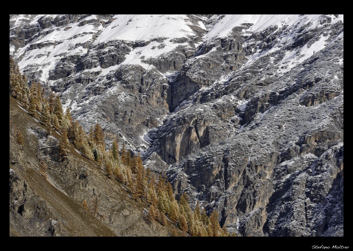 Parco Nazionale Stelvio1