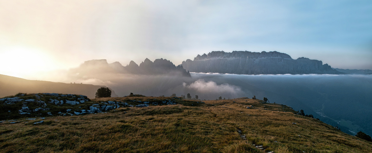 Groups of Sella and Cir dawn