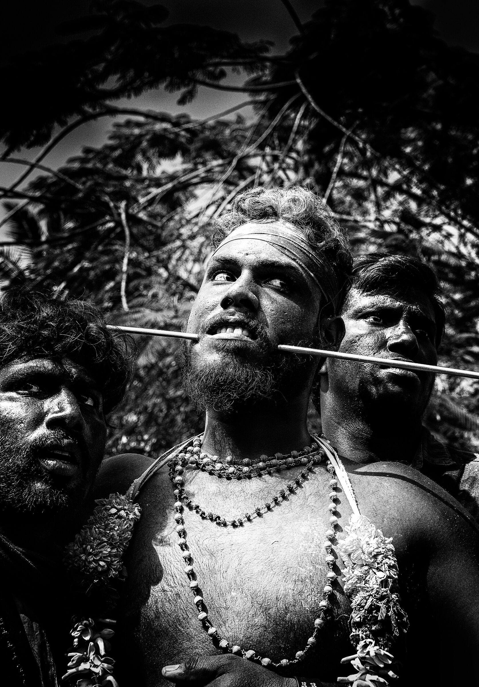 Defiant gaze. Palani, 2020.