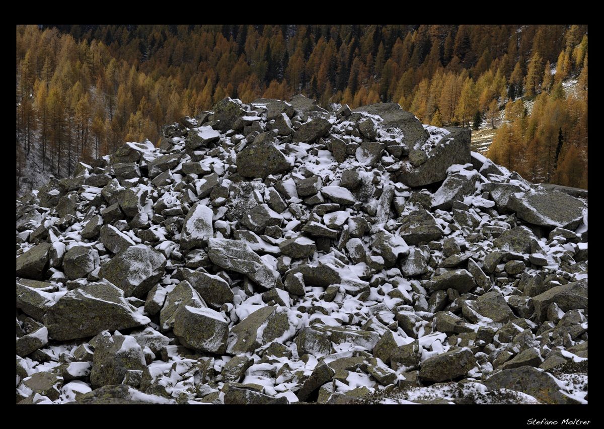 Herbest--Contrasto Autunnale