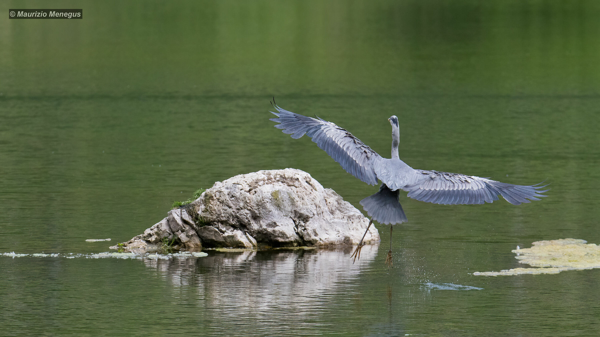 Atterraggio sul sasso
