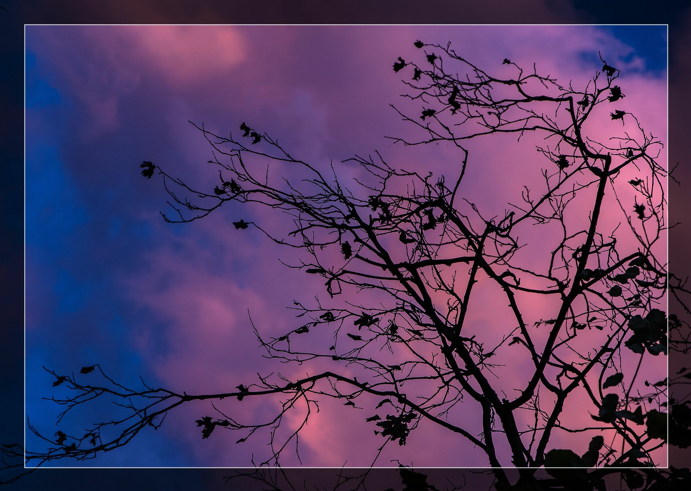 Clouds