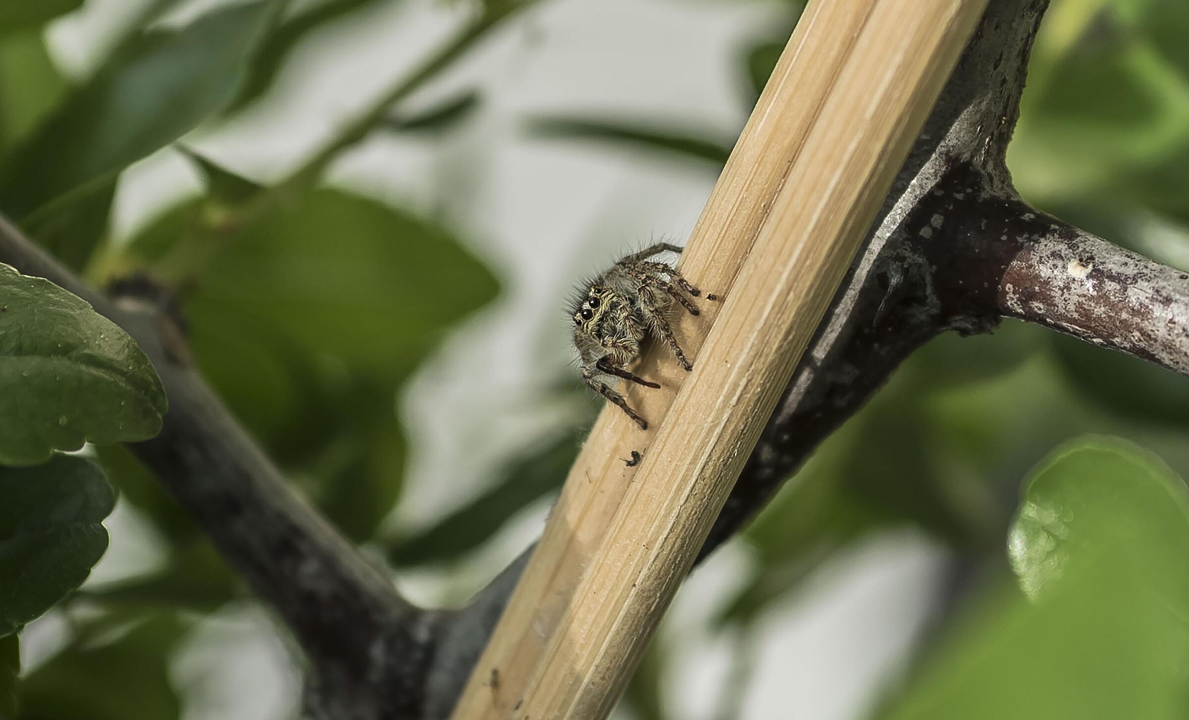 My first macro
