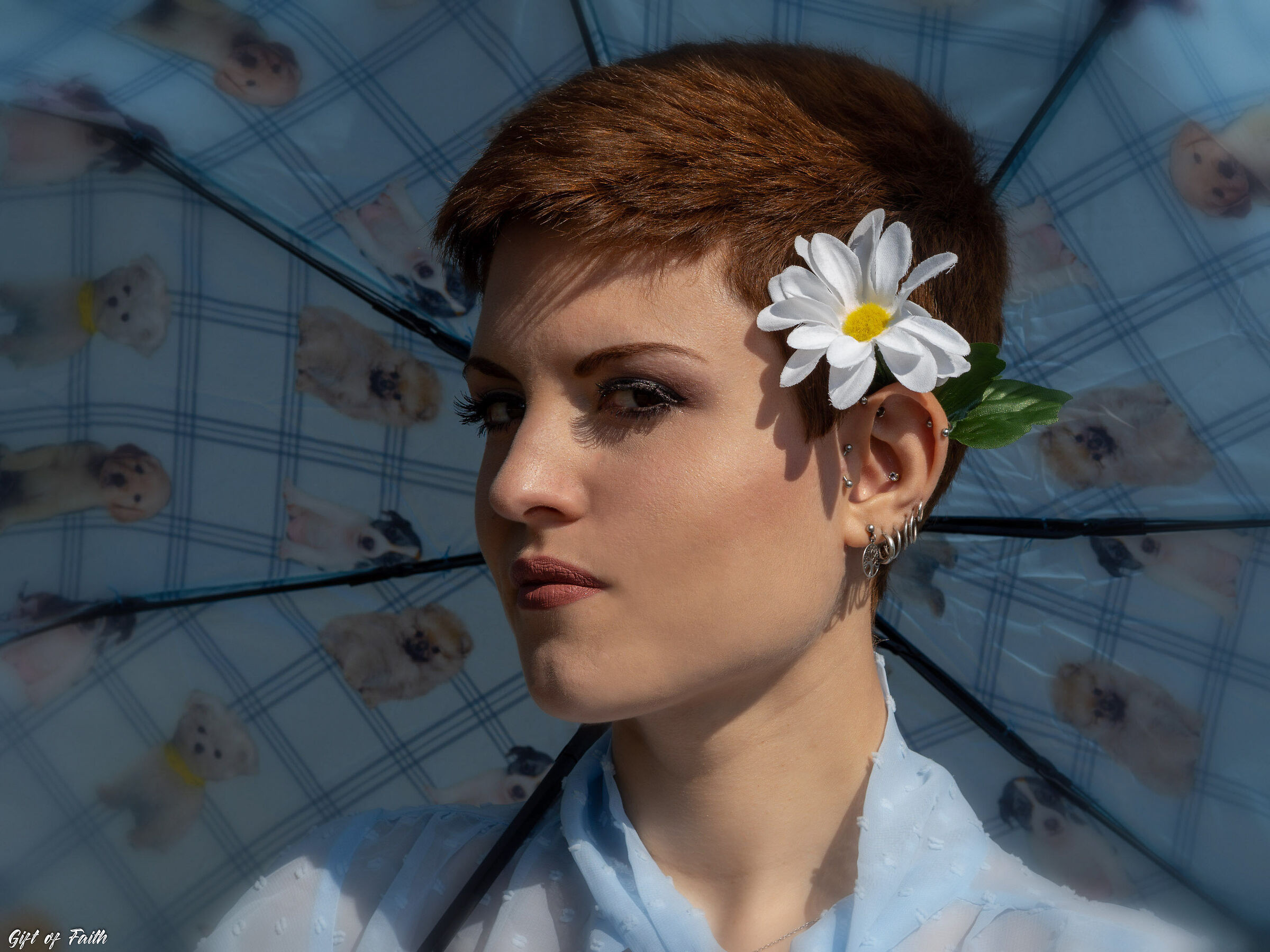 The Shadow of Eyebrows (love for dogs)