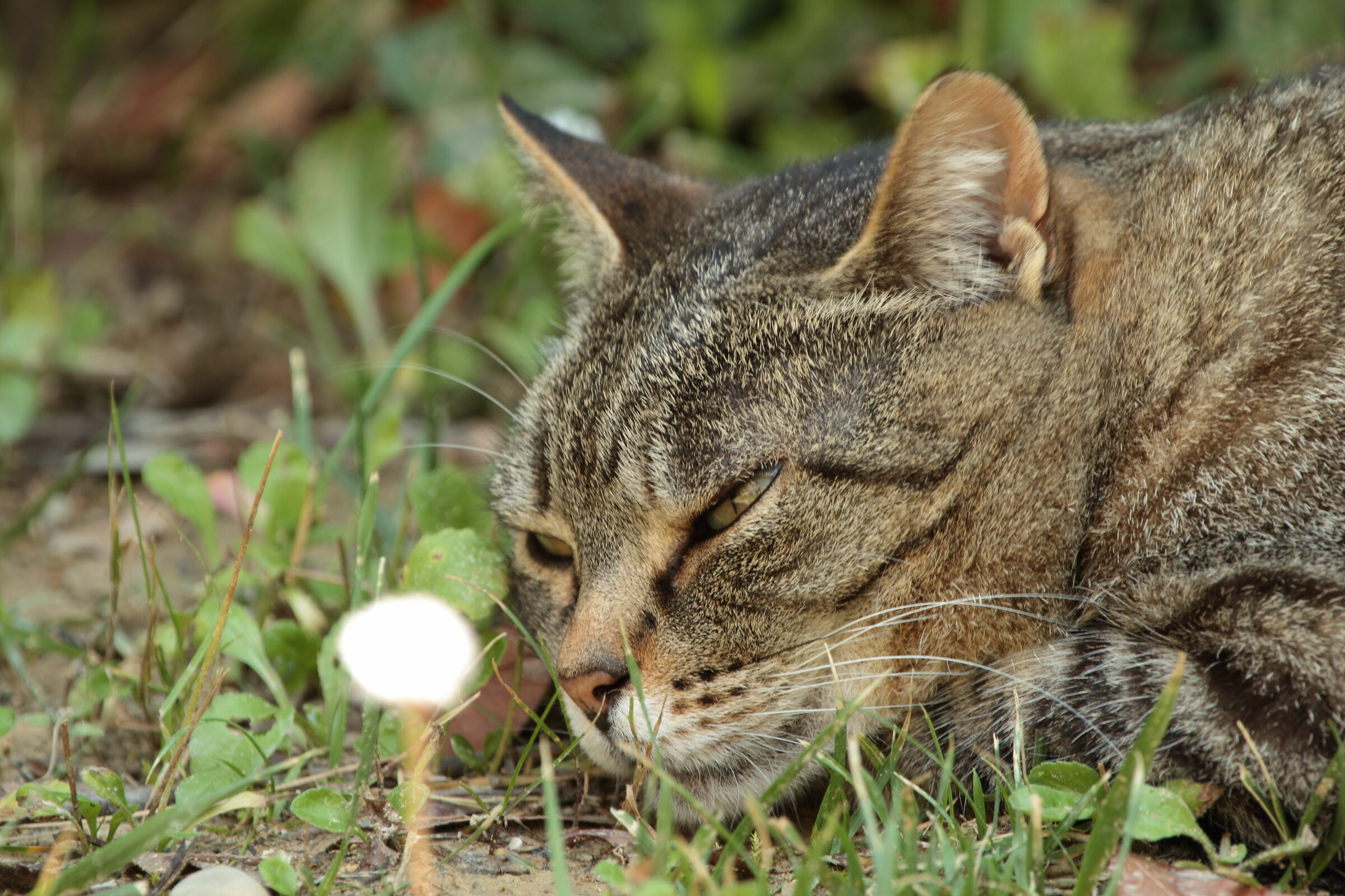 how many thoughts...