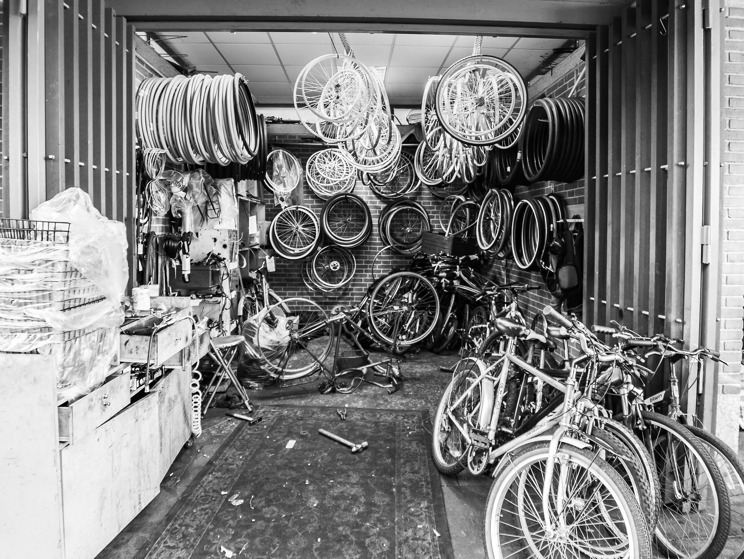 Cyclist Darsena - Milan