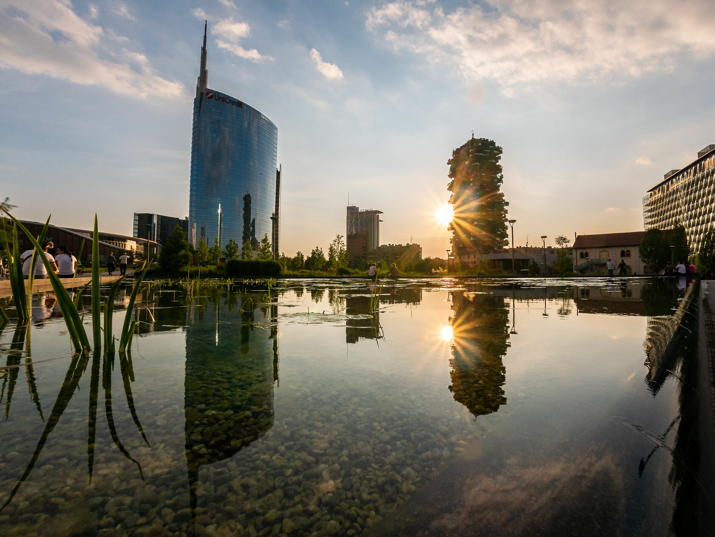Double Sun - Tree Library - Milan