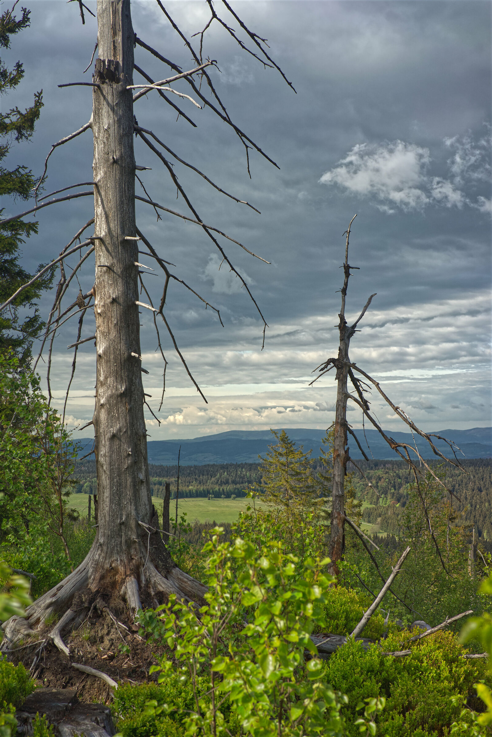 La vista dalla Montagna della Morte