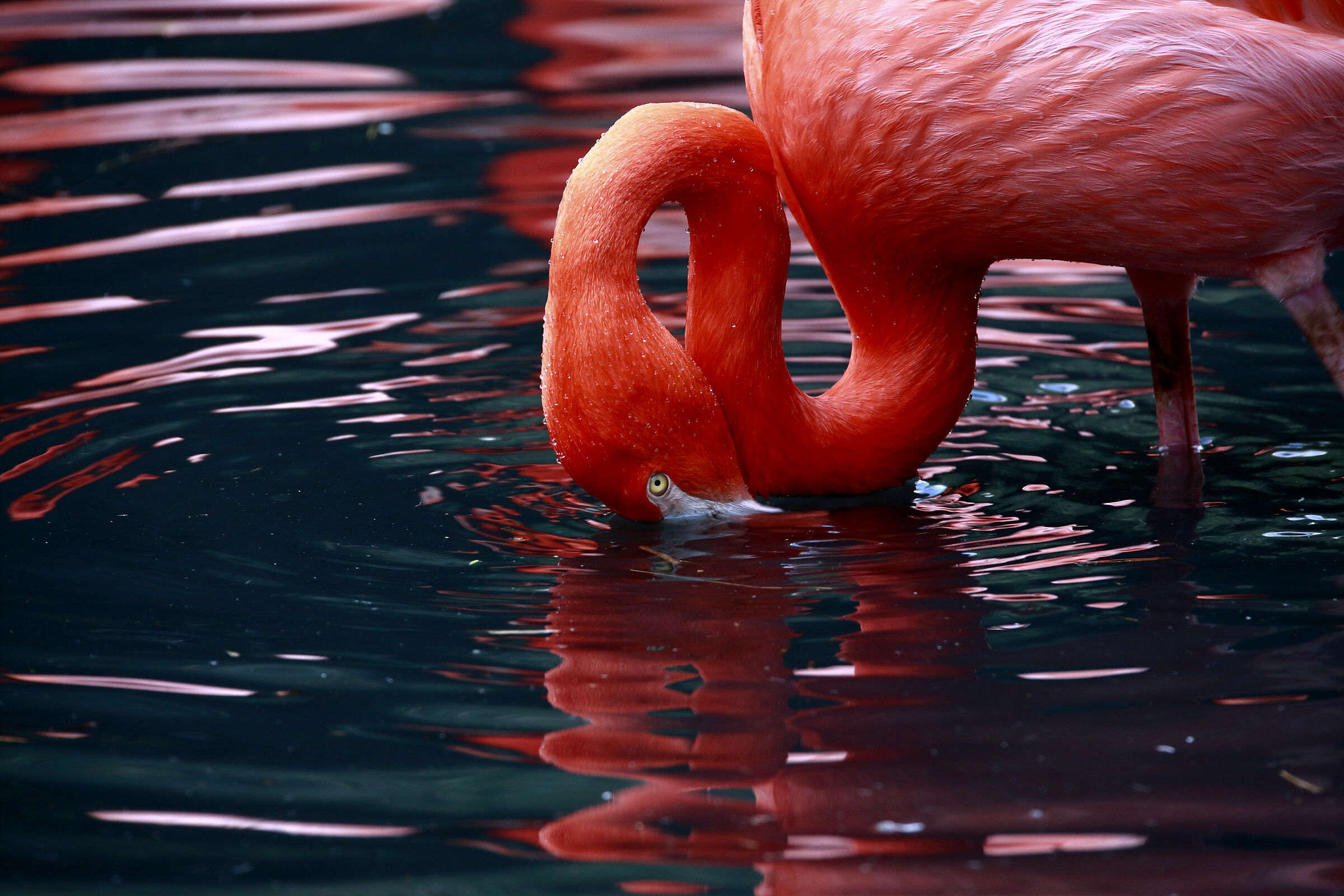 Between Colors and Reflections