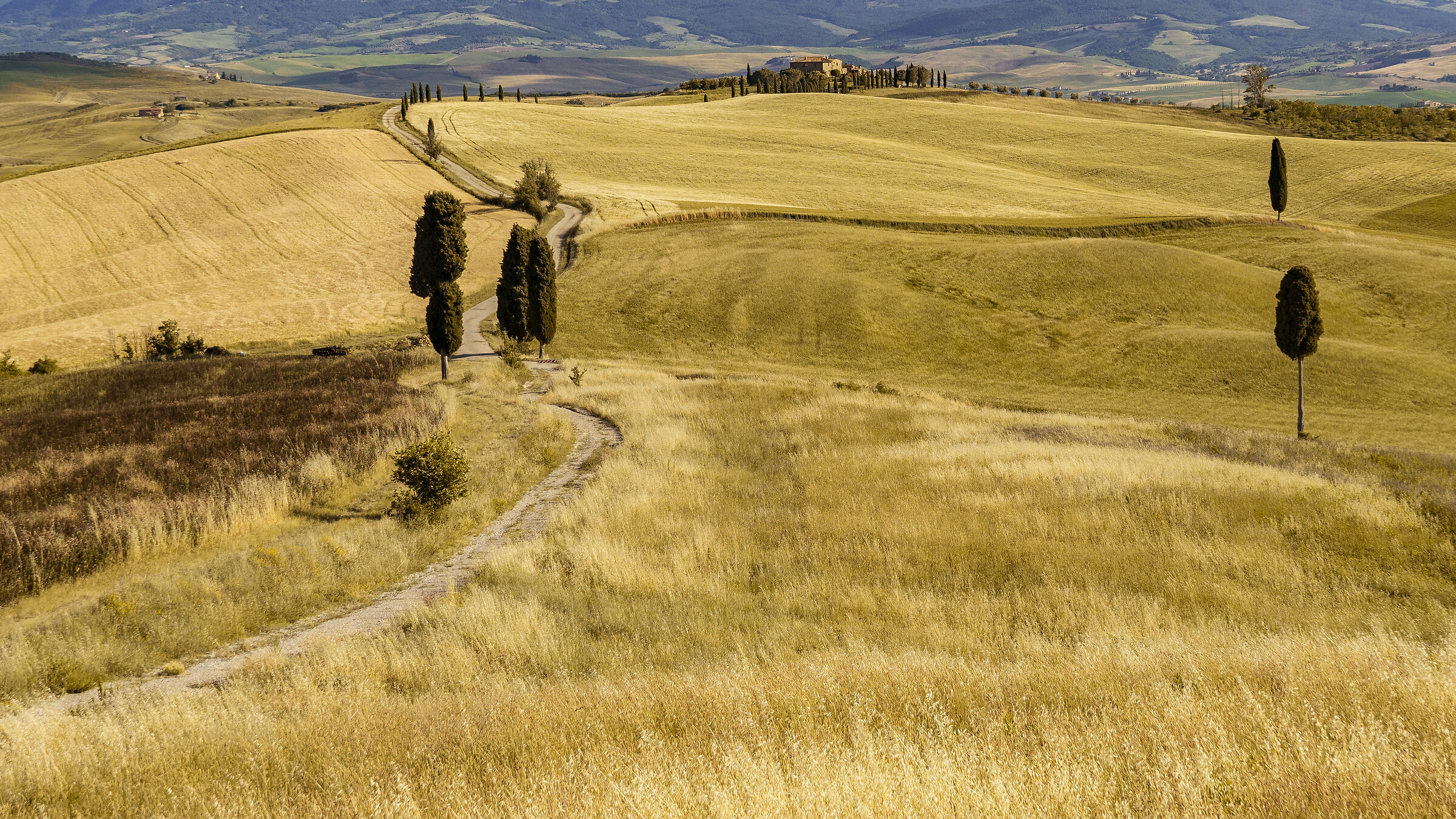 Elysees Fields (Pienza)
