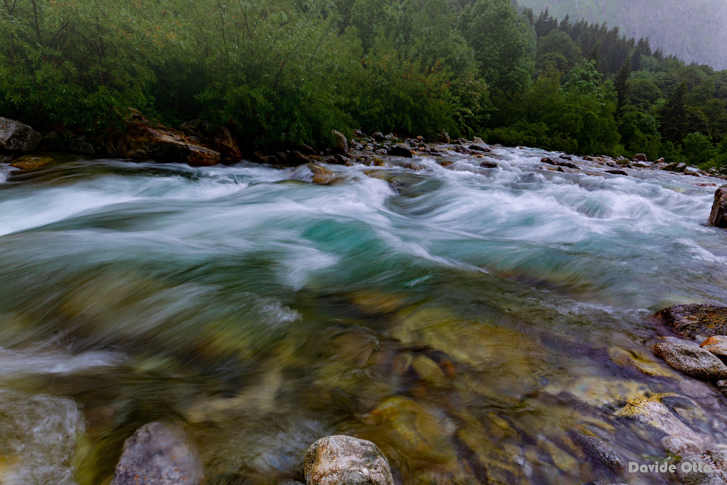 Torrente in movimento