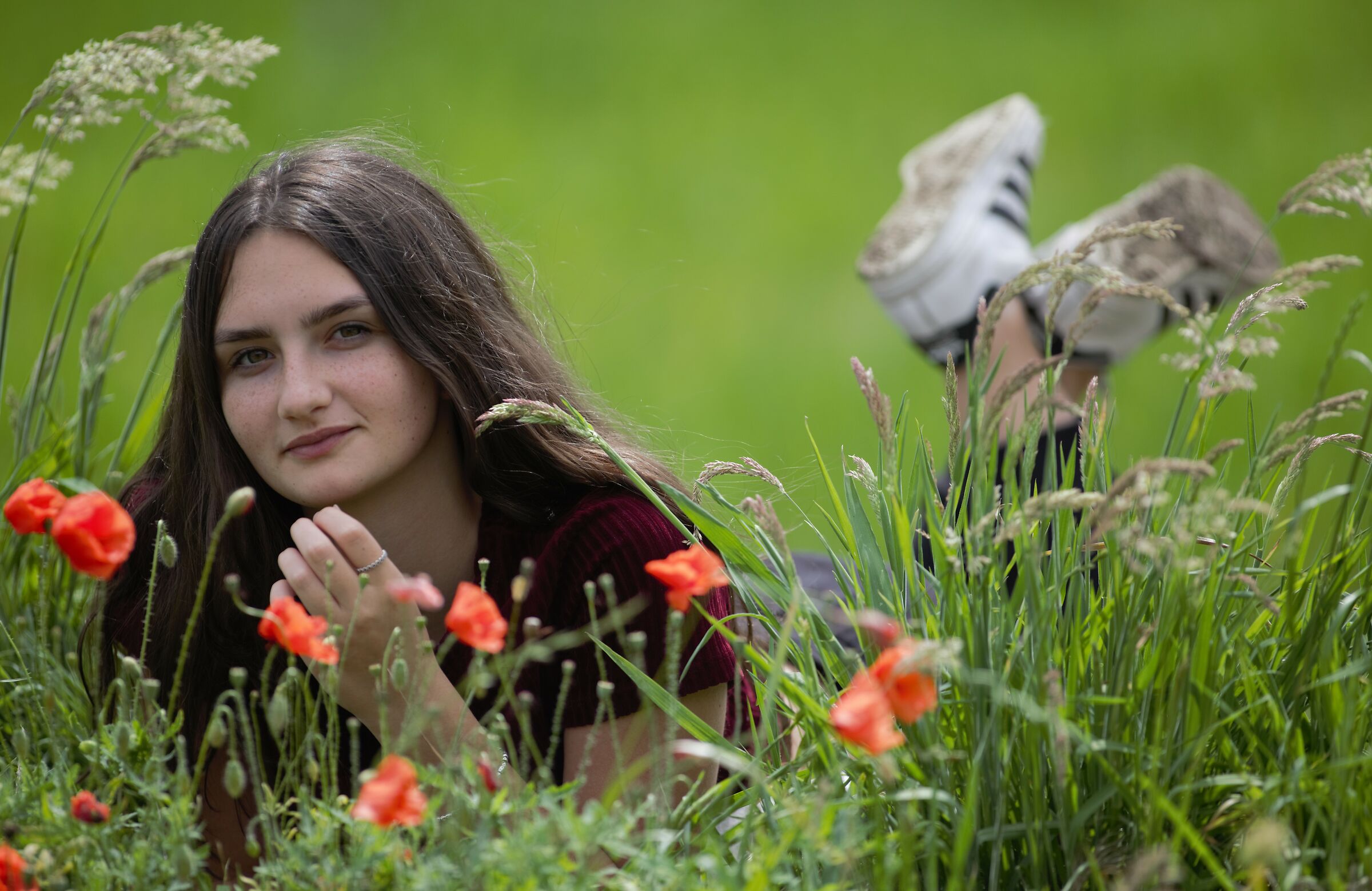 La ragazza dei papaveri