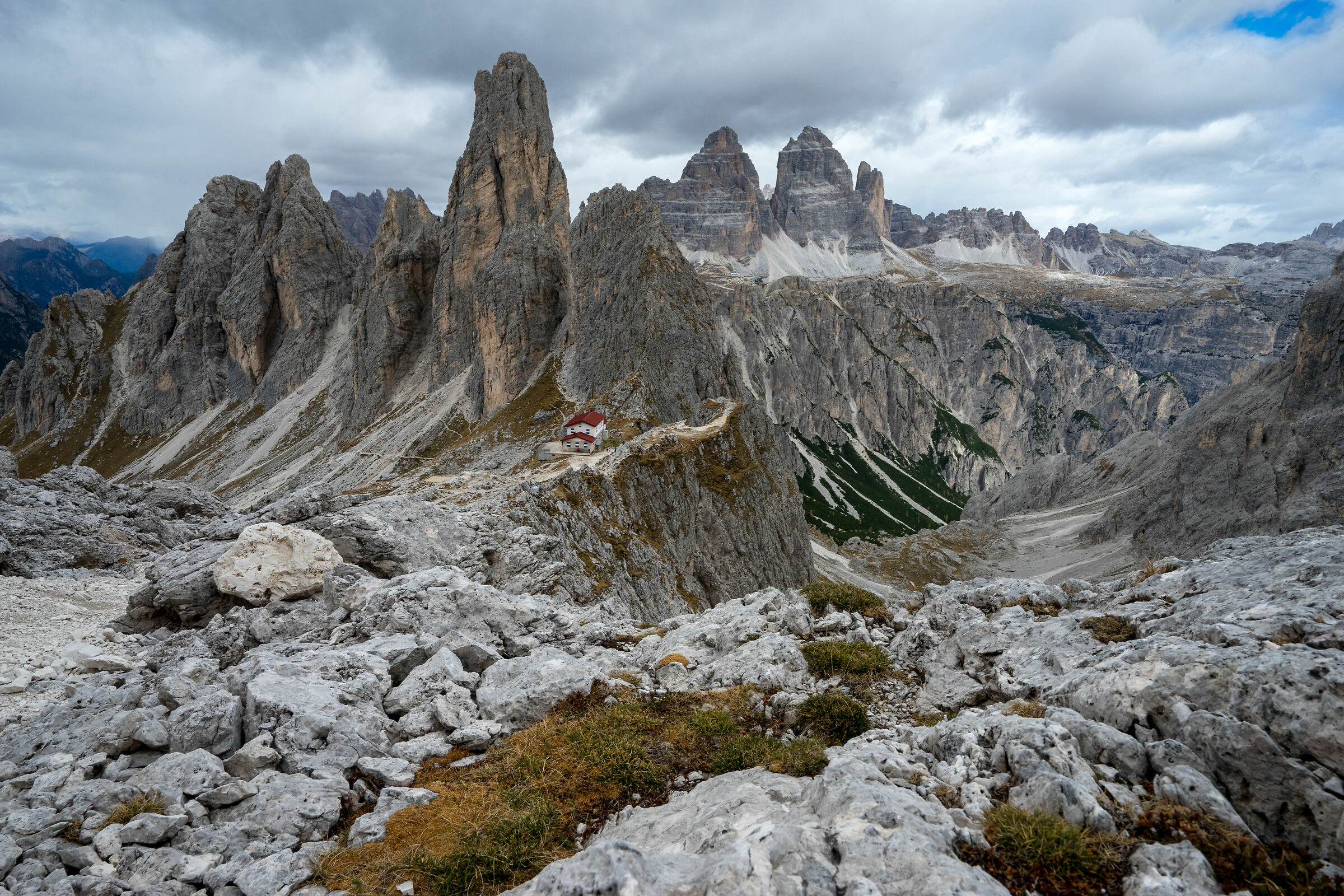 Refuge Brothers Fonda Savio