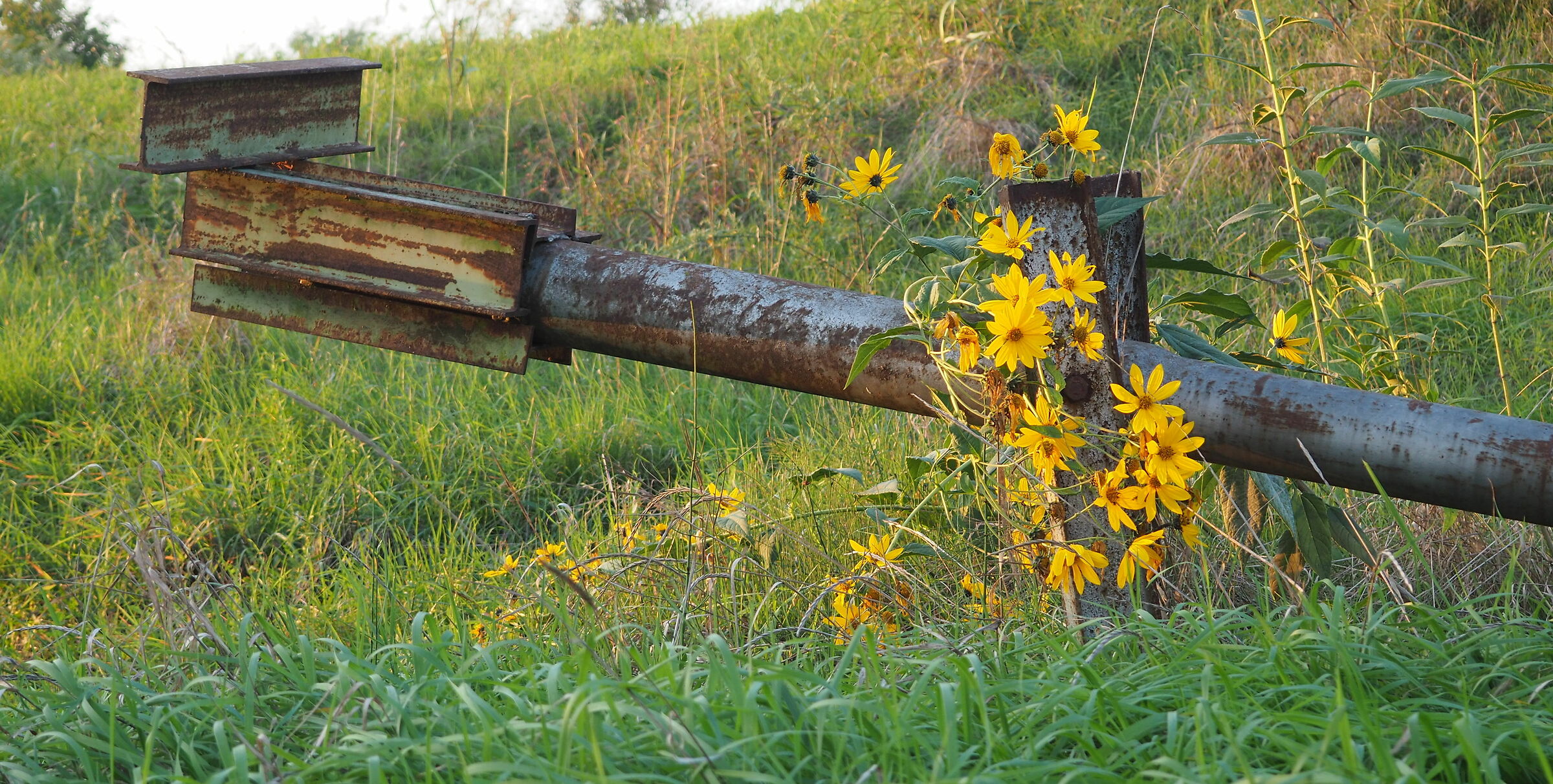 Counterweight