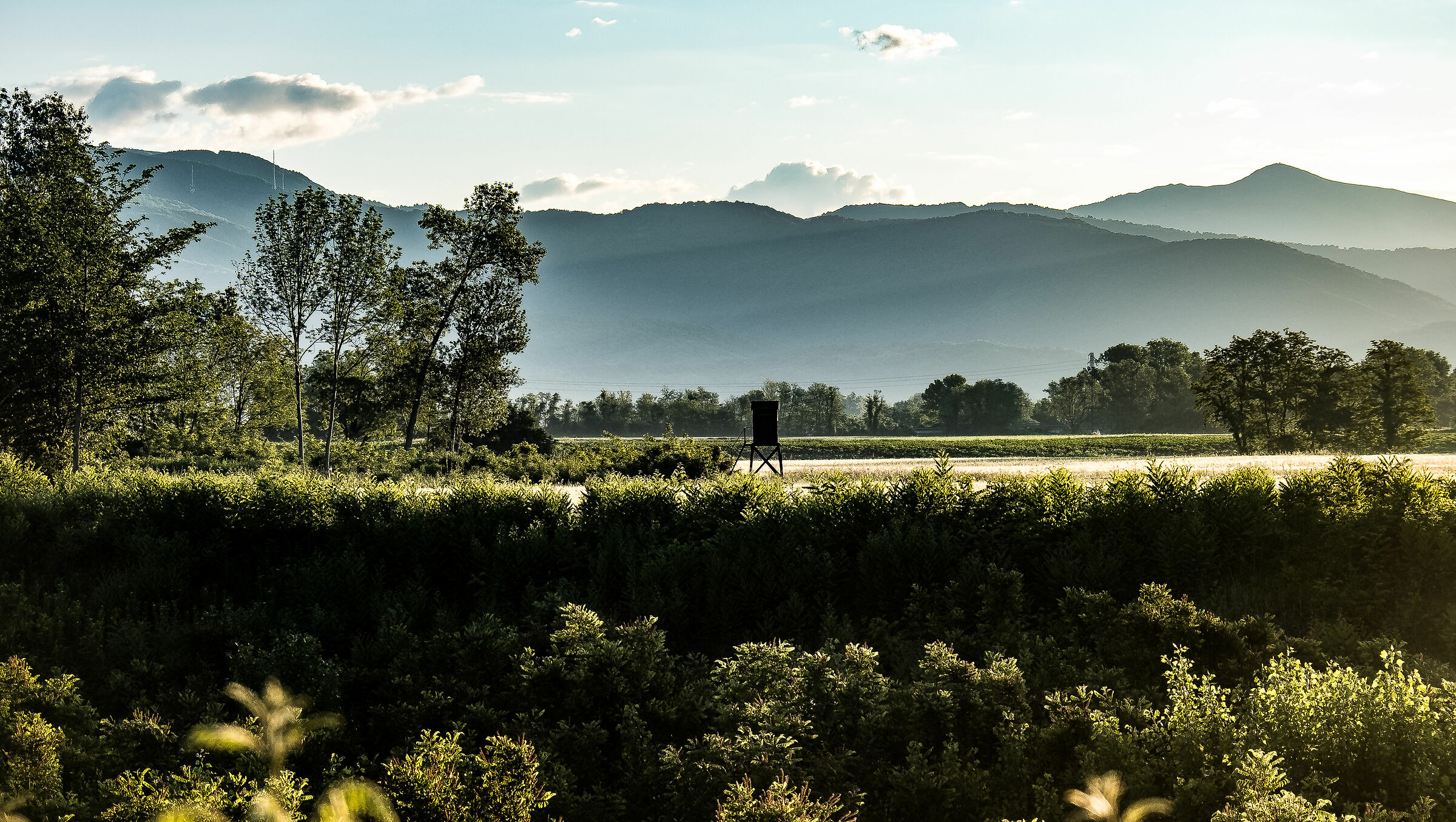 L'alba di un nuovo giorno