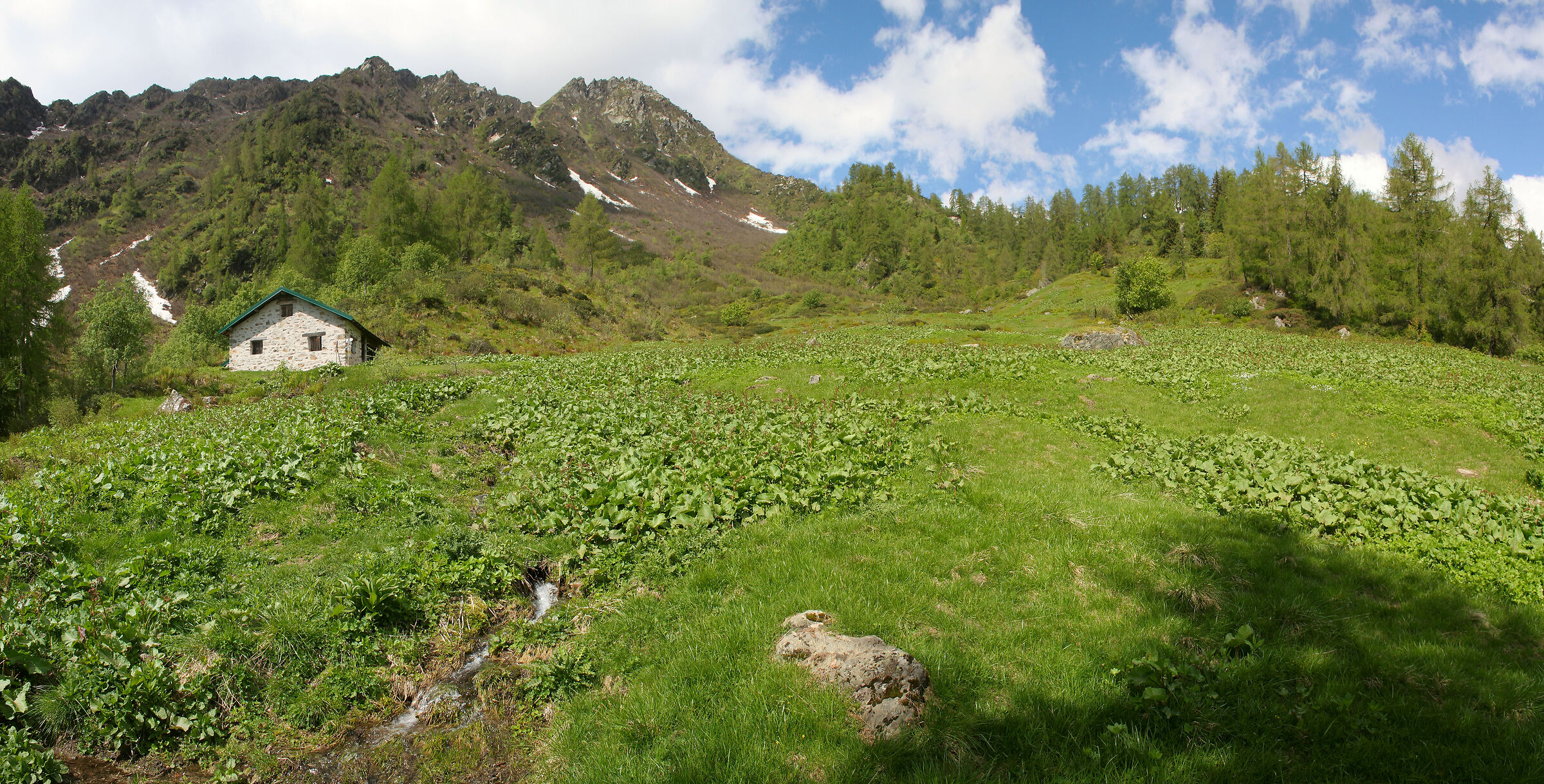 Malga Geredol (Ports of Rendena)