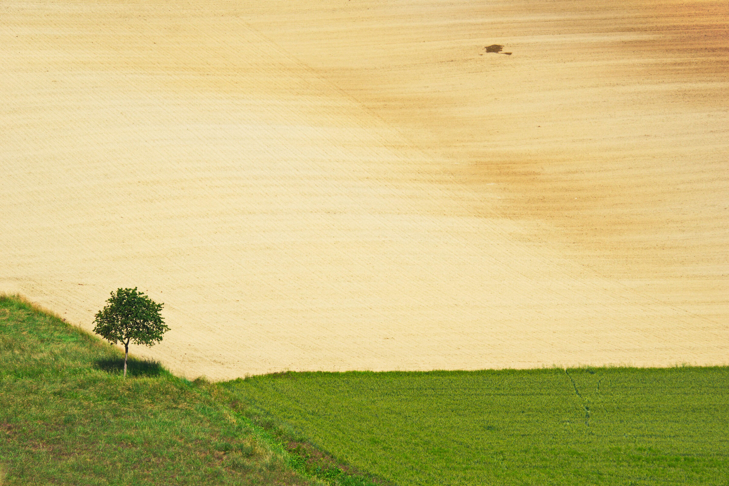 lavoro in collina