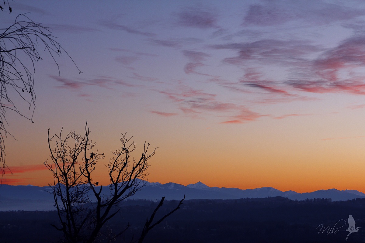 Orange from the hill