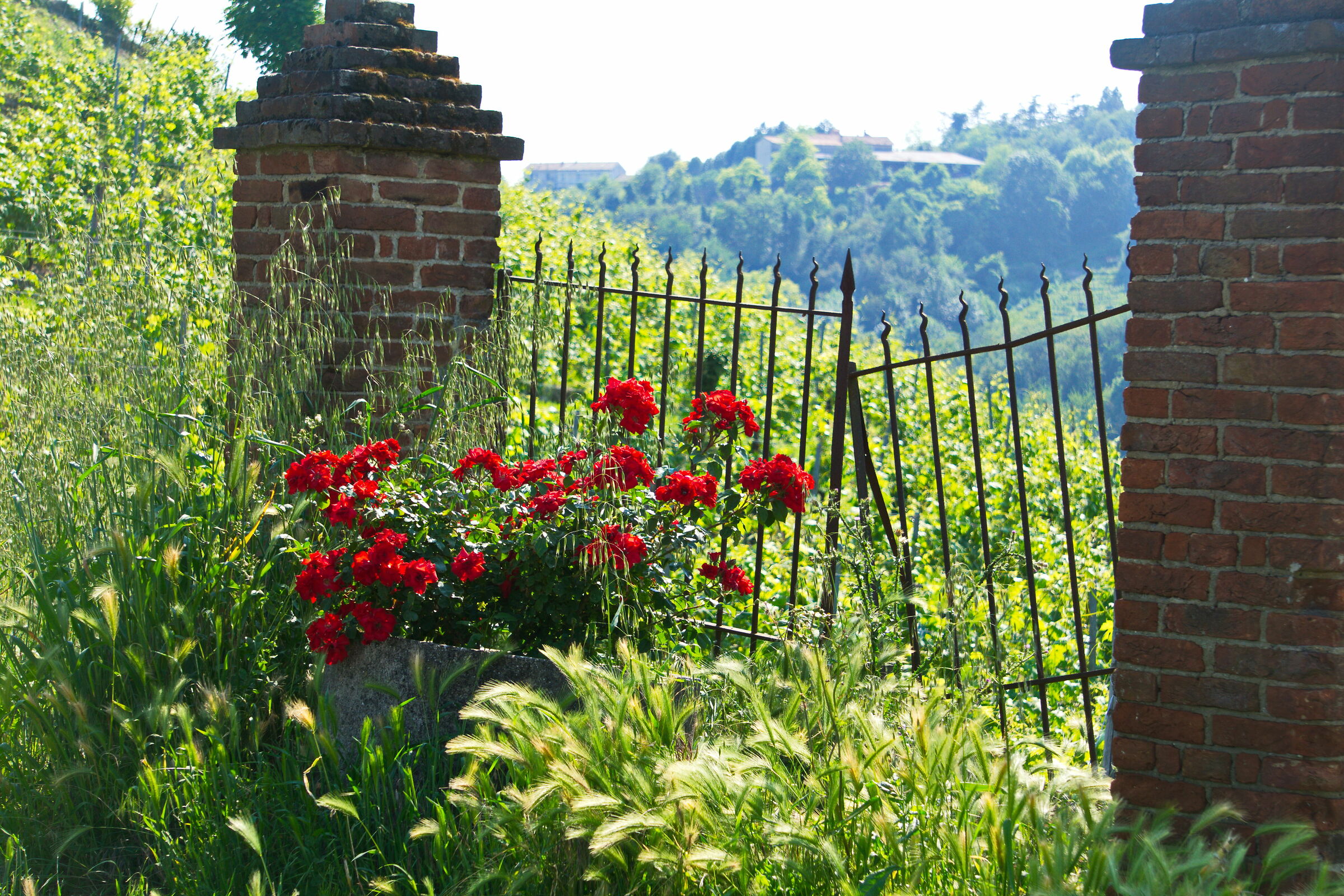 una porta sul monferrato