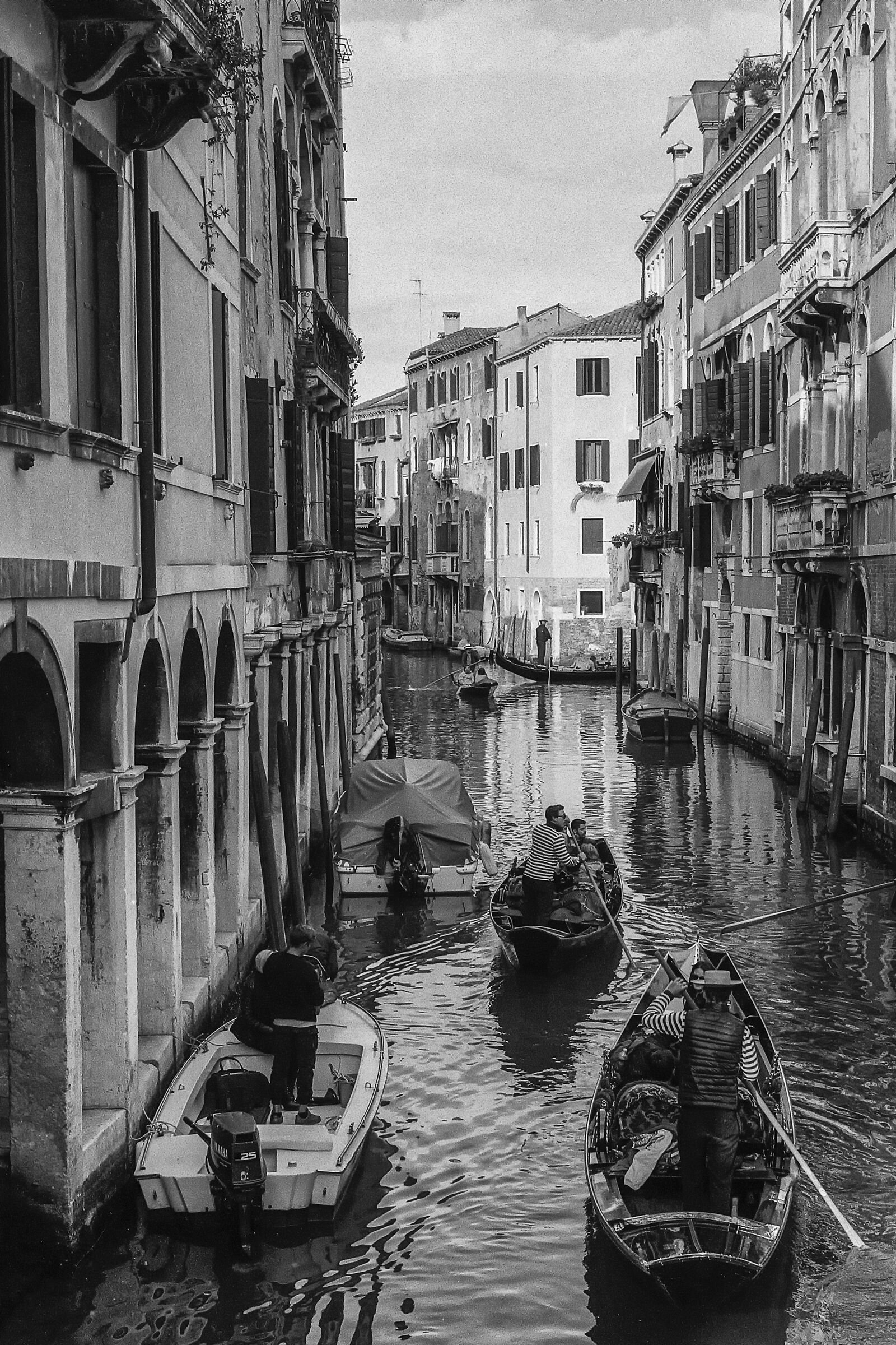 Cartolina da Venezia