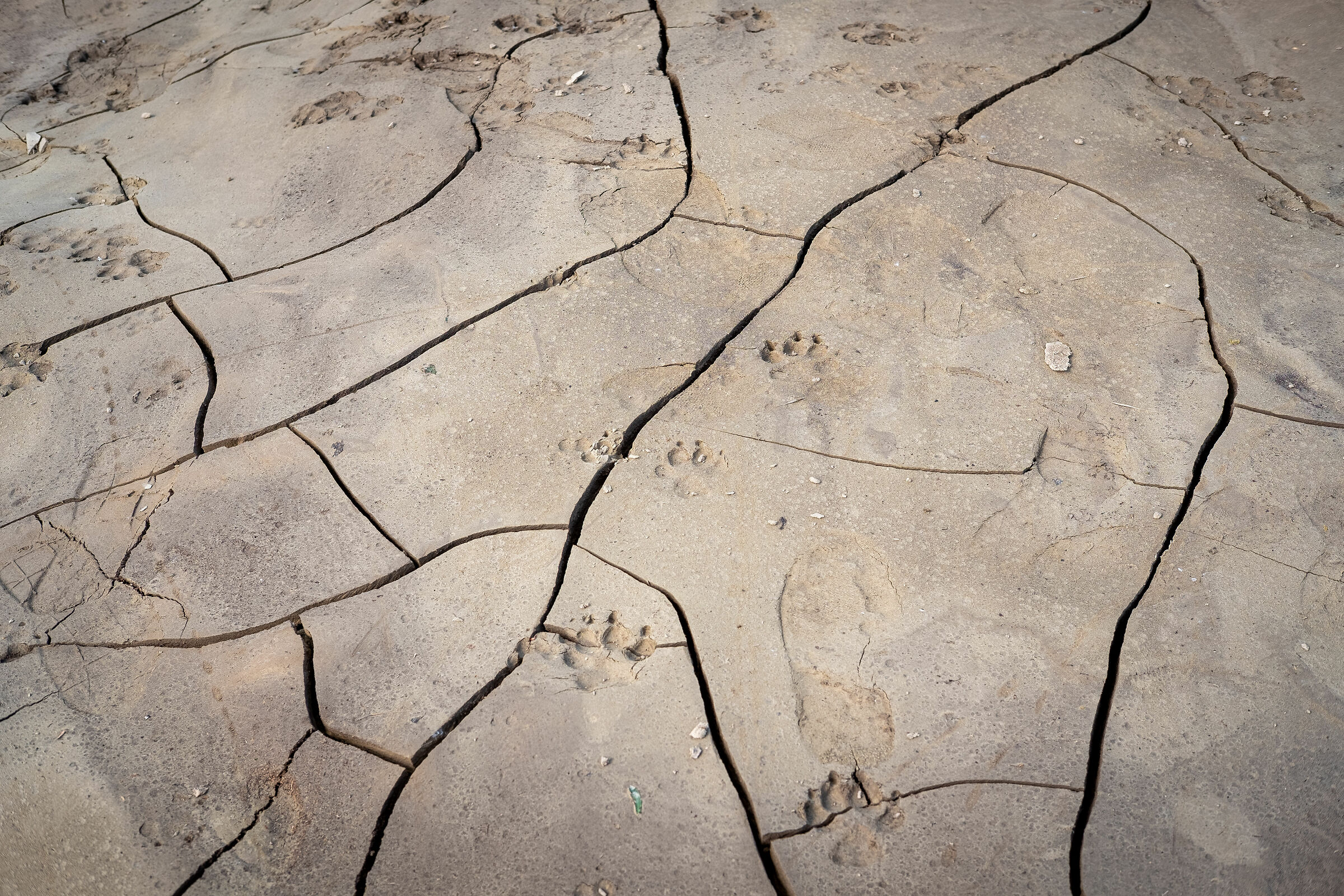 Miscellaneous Robes 2/3