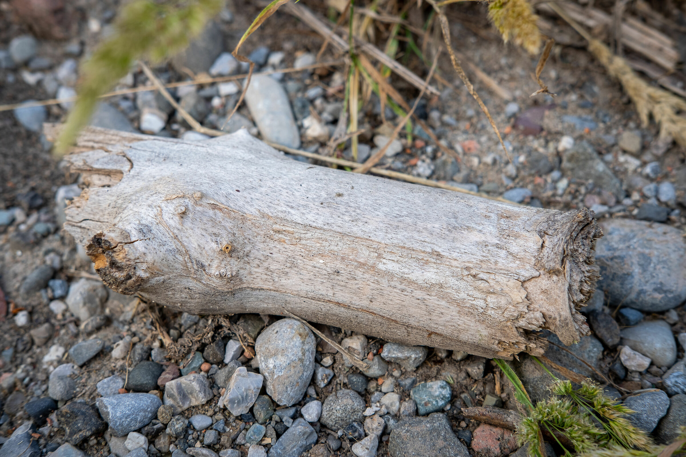 Miscellaneous Robes 3/3