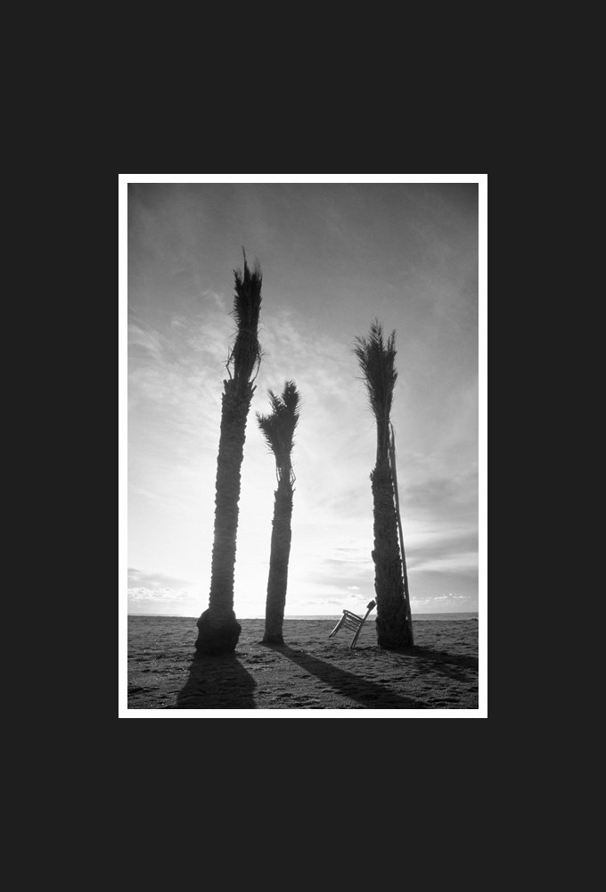 Mediterranean Sea, 1991