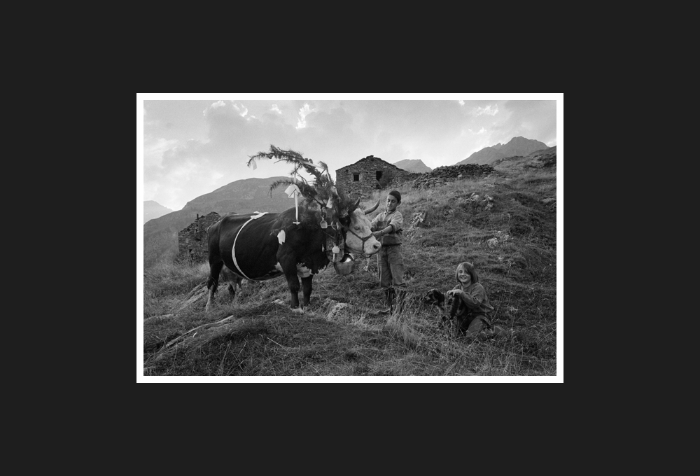 regina del latte, 1998