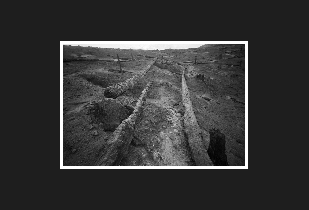 terra bruciata, 2003