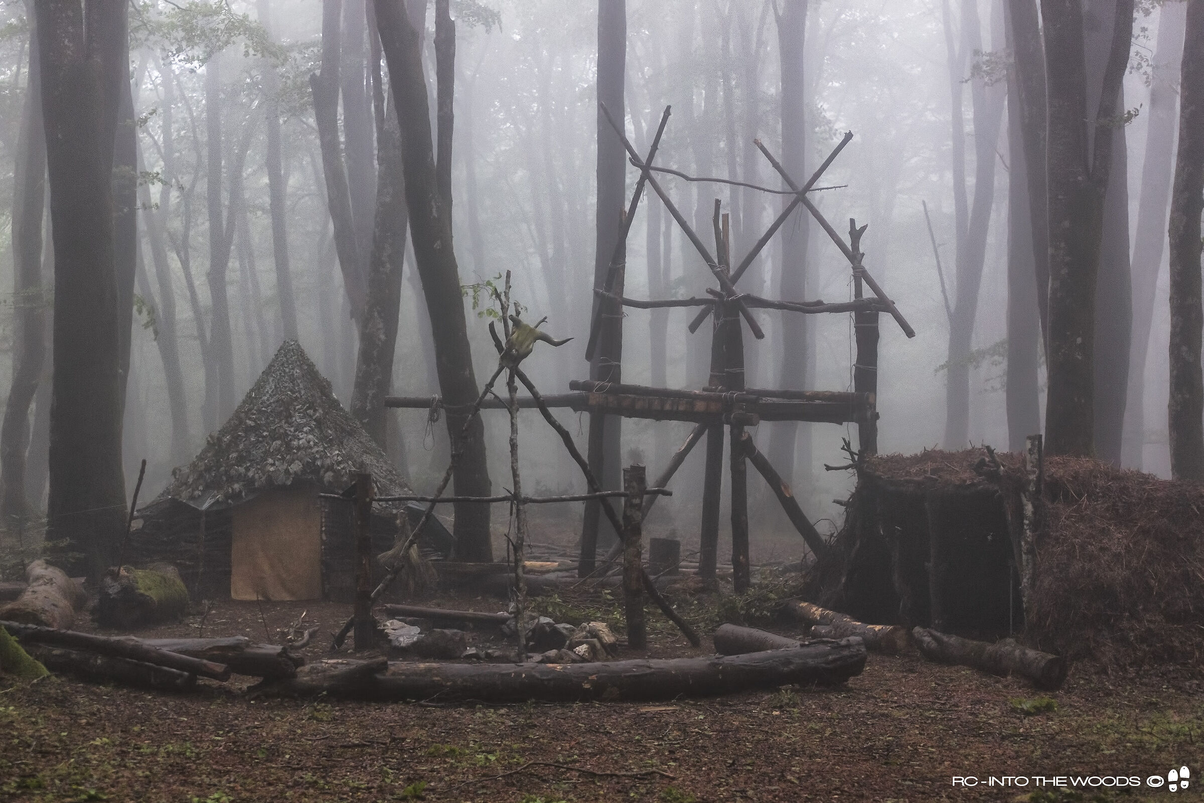 Primitive camp in the woods