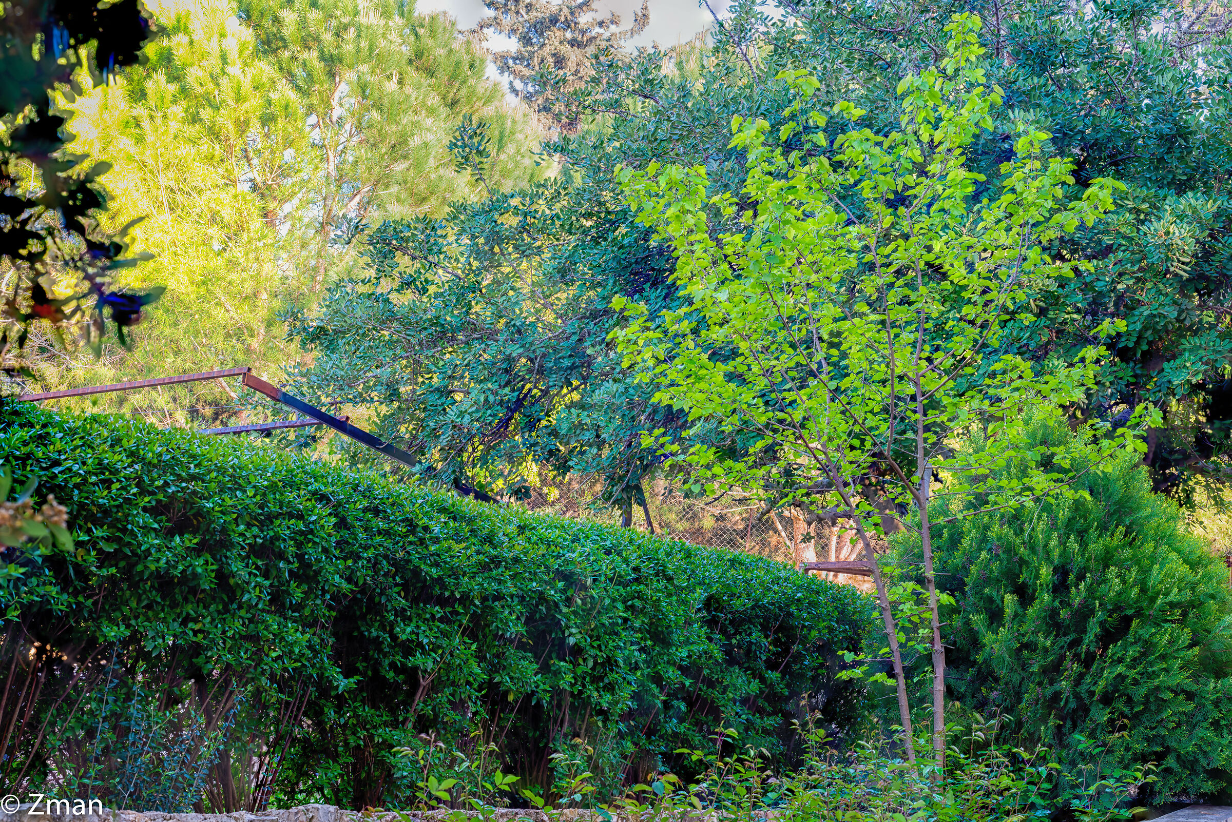 Shades of Greens