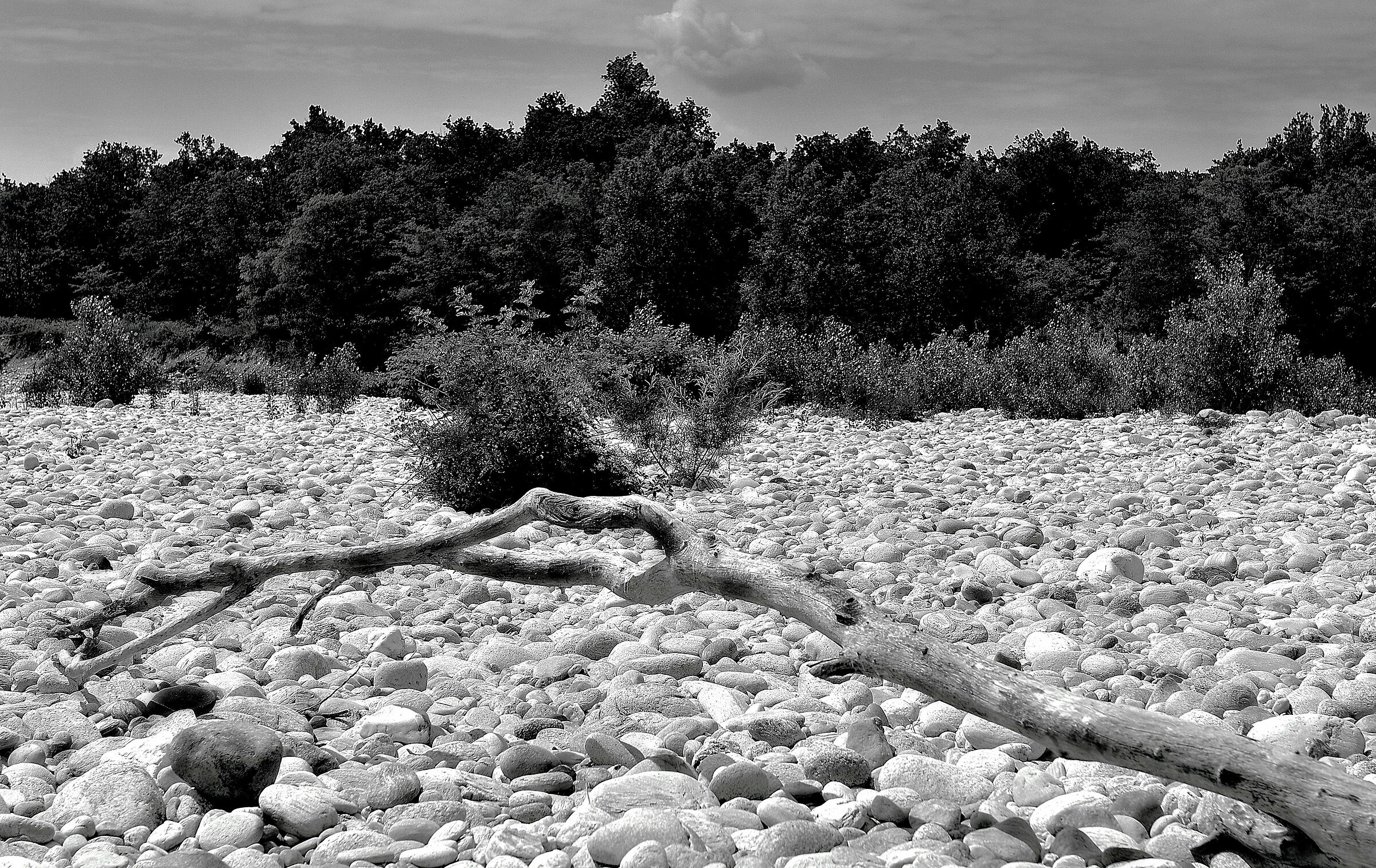 The past and the future