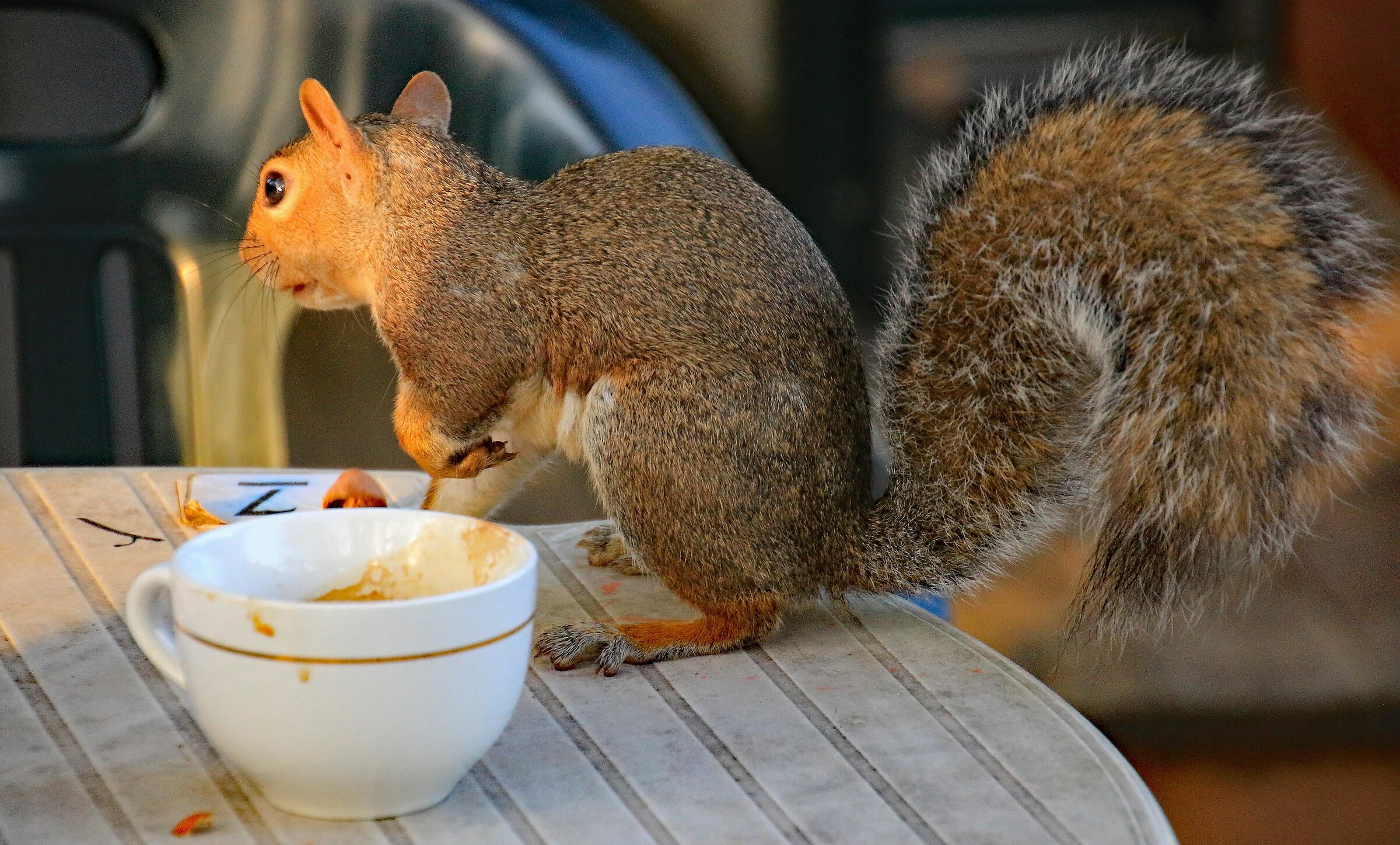 After the cappuccino ...